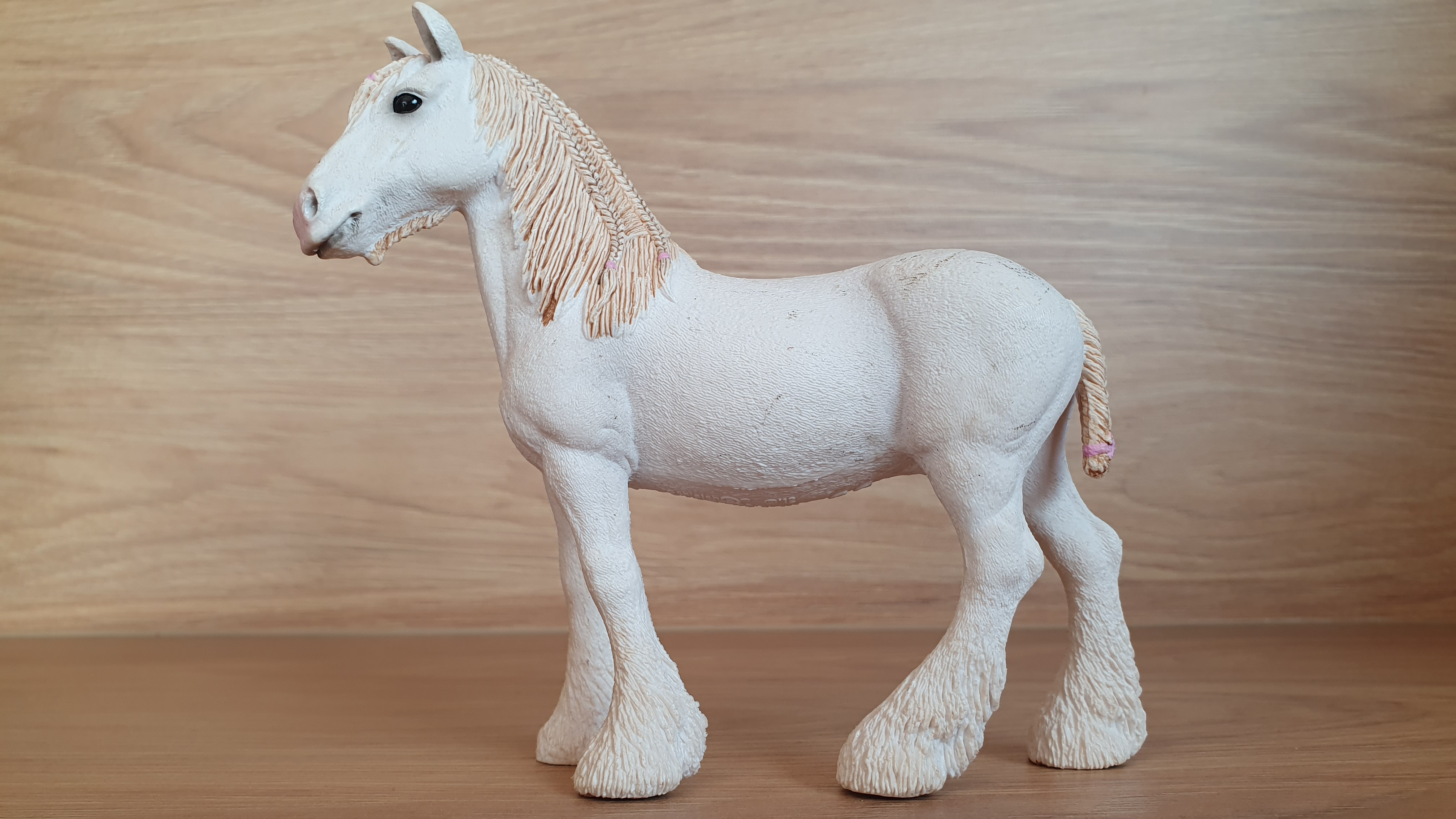 Klisna shirská 13735, model 2012