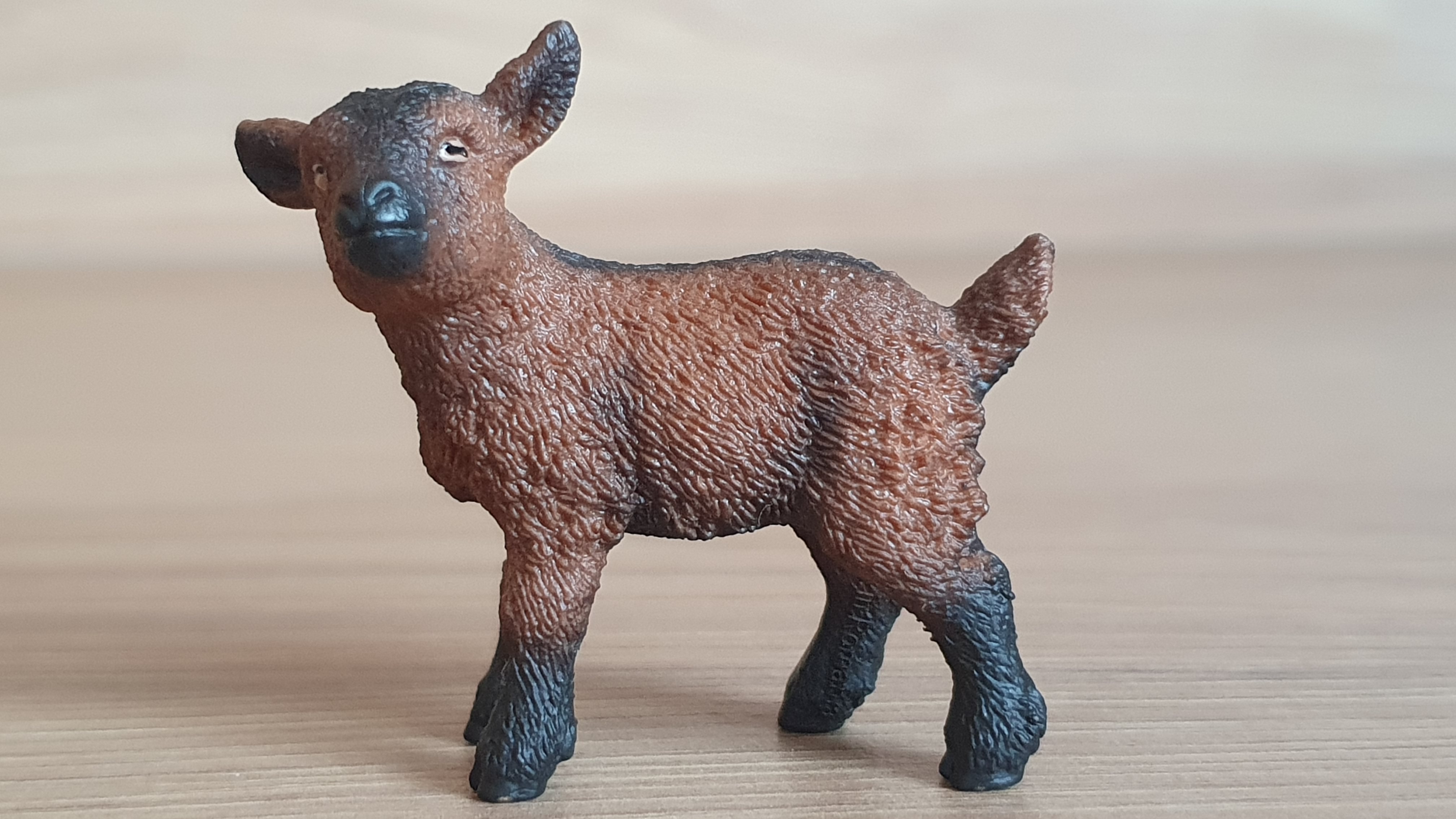 kůzle hnědé 13829, model 2016