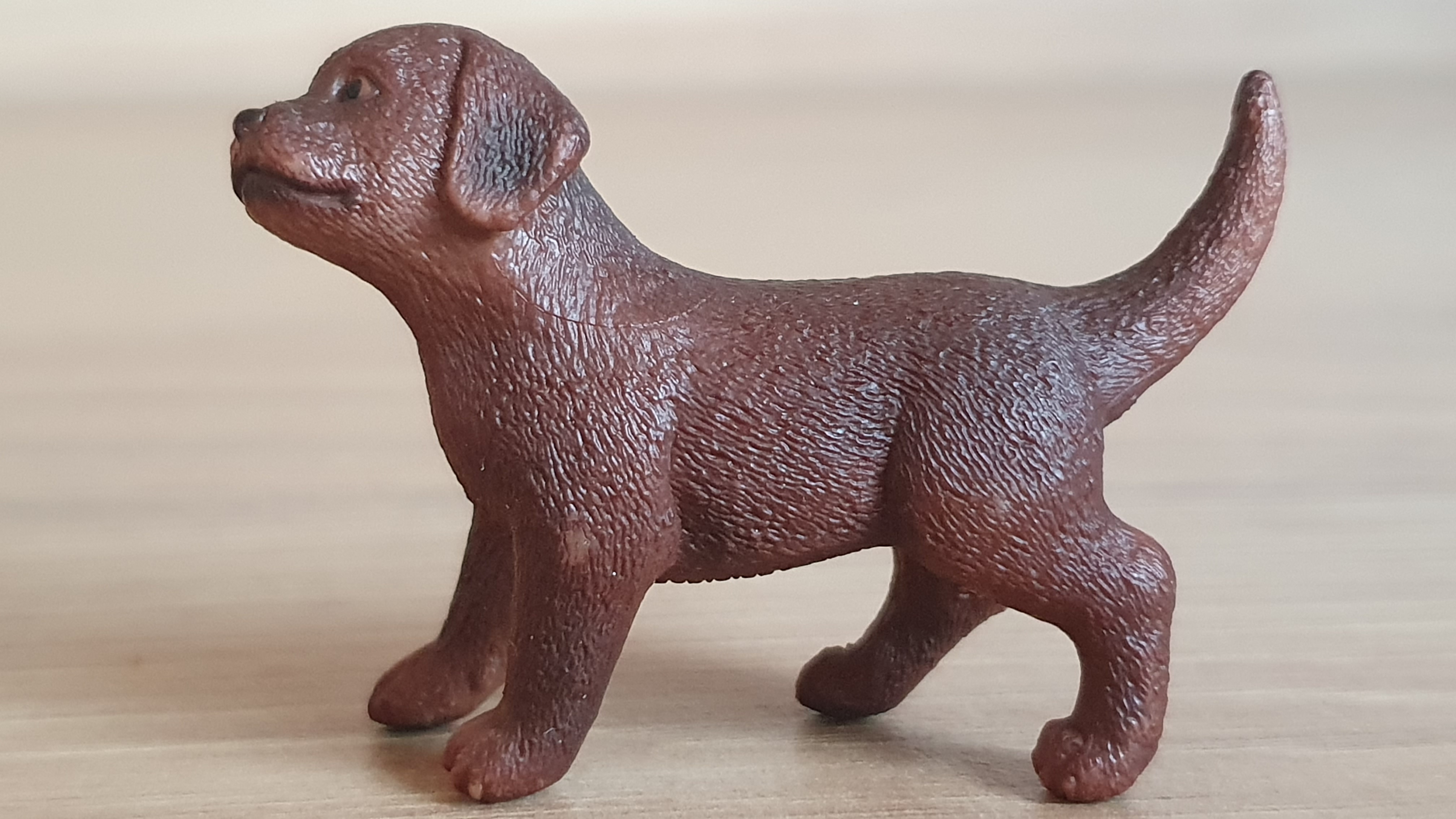 Labradorský retrívr štěně 13835