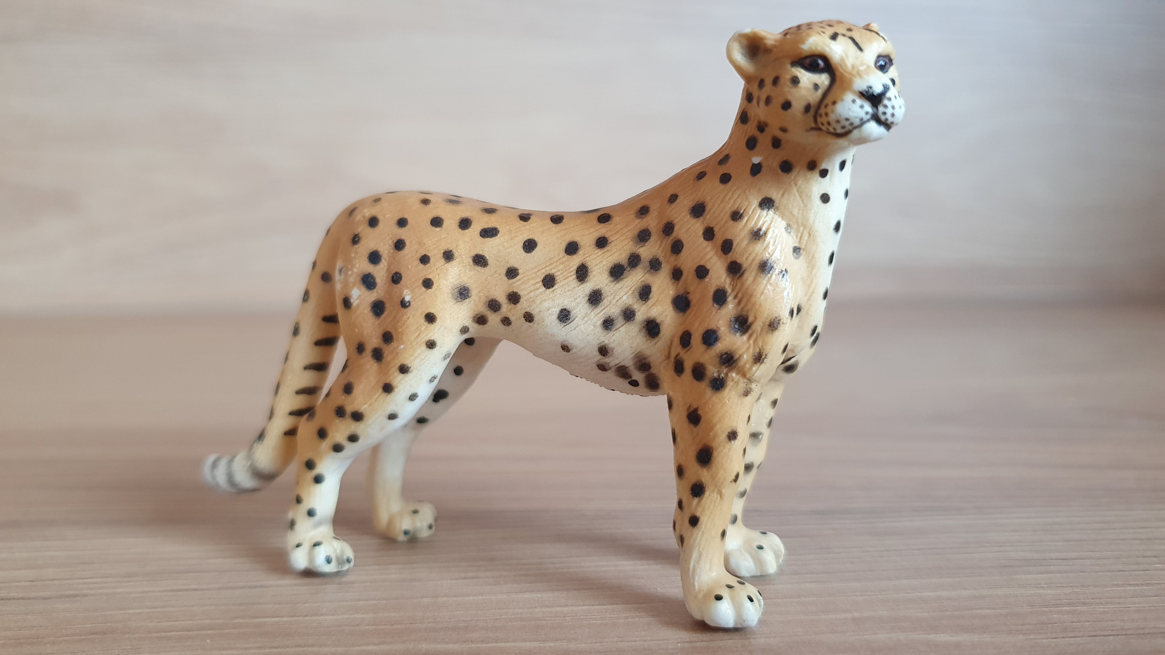 gepard 14143, model 1997