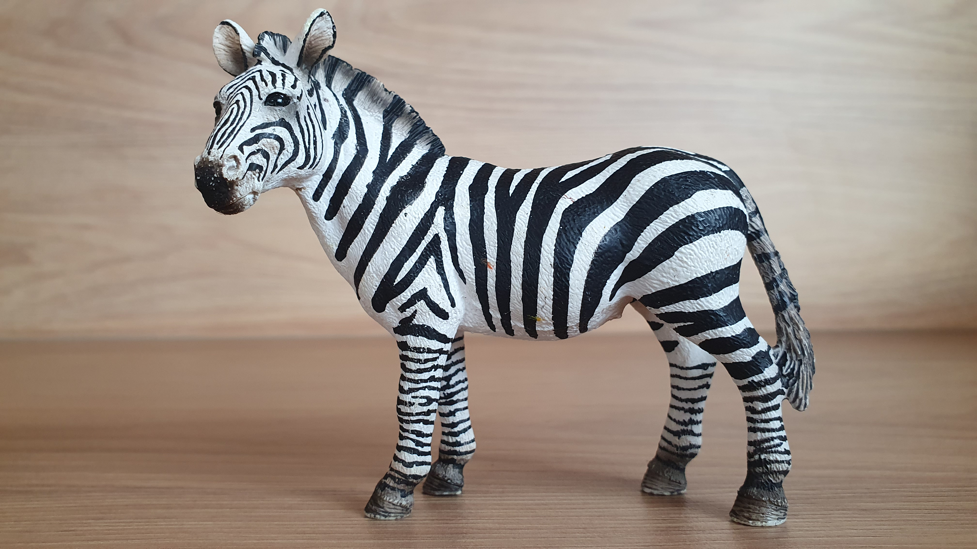 zebra 14392, model 2008