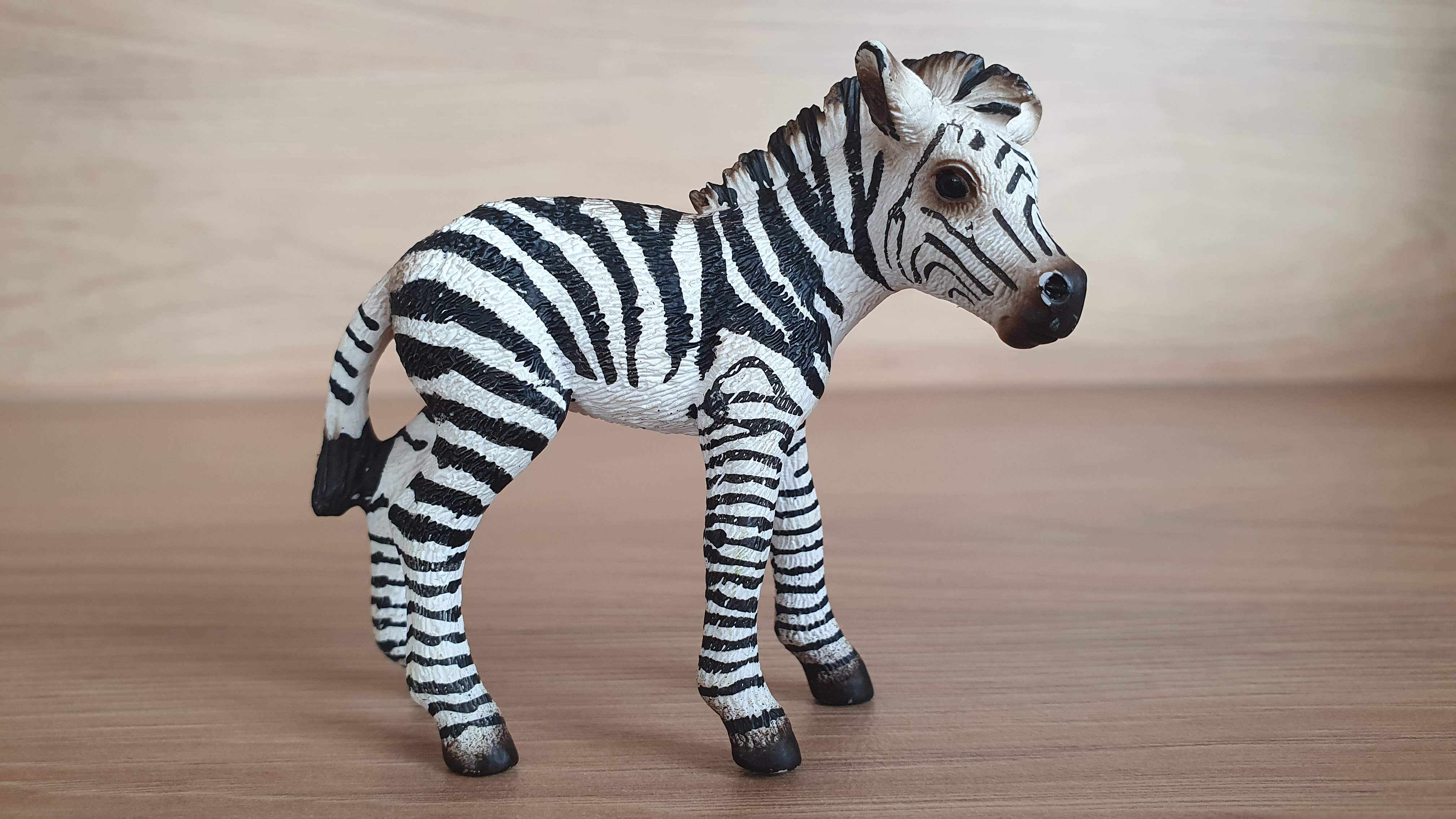 zebra mládě 14393, model 2008