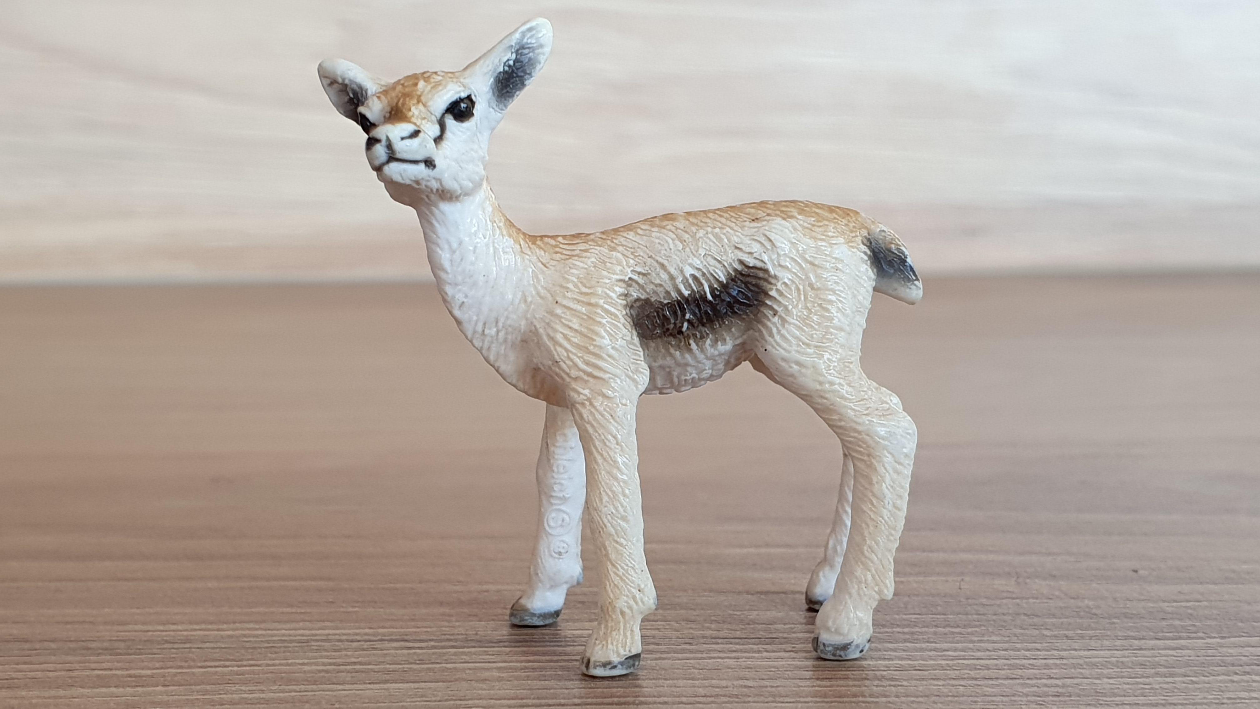 gazela mládě 14397, model 2008
