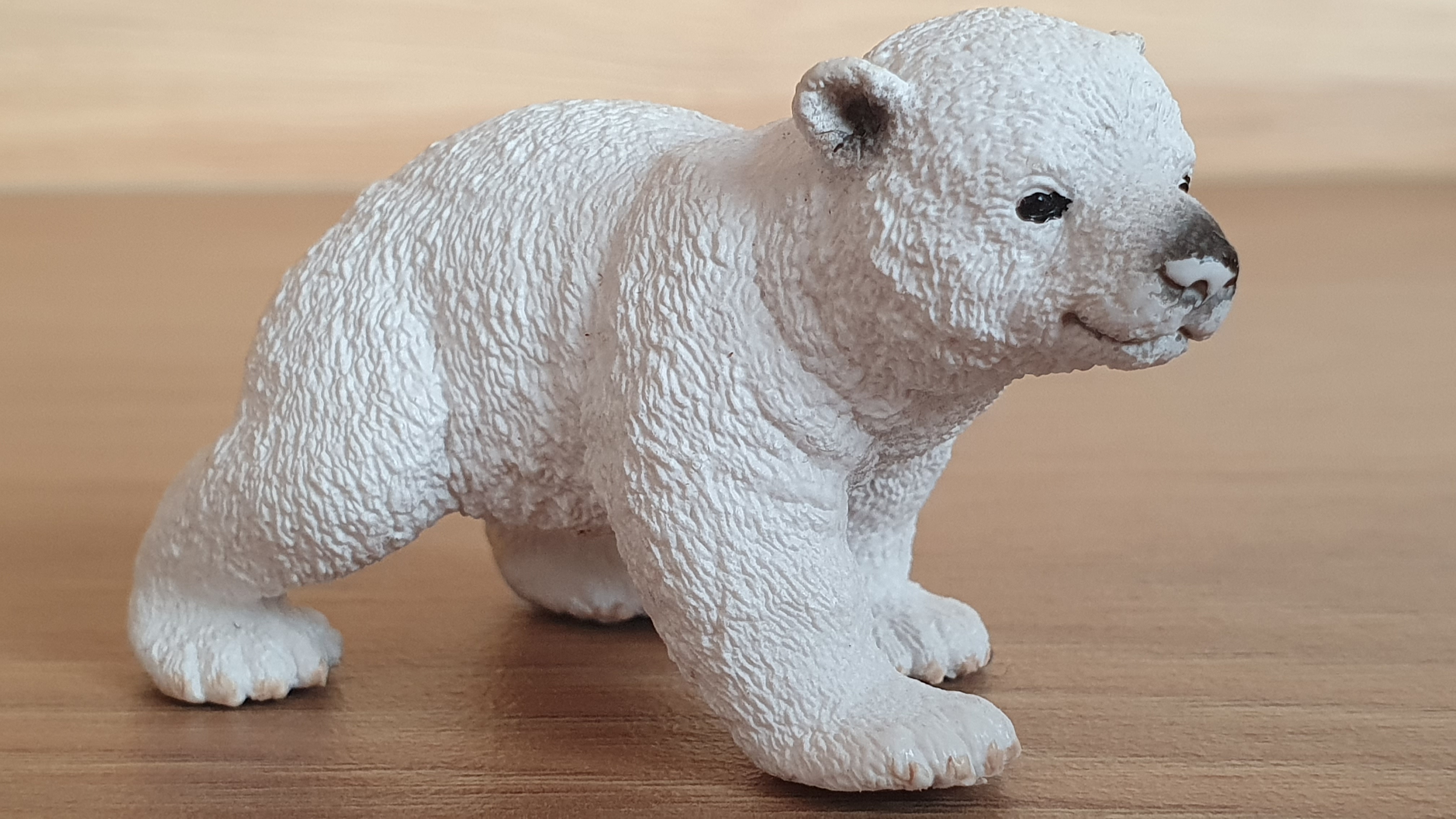 medvěd polární mládě 14708, model 2013