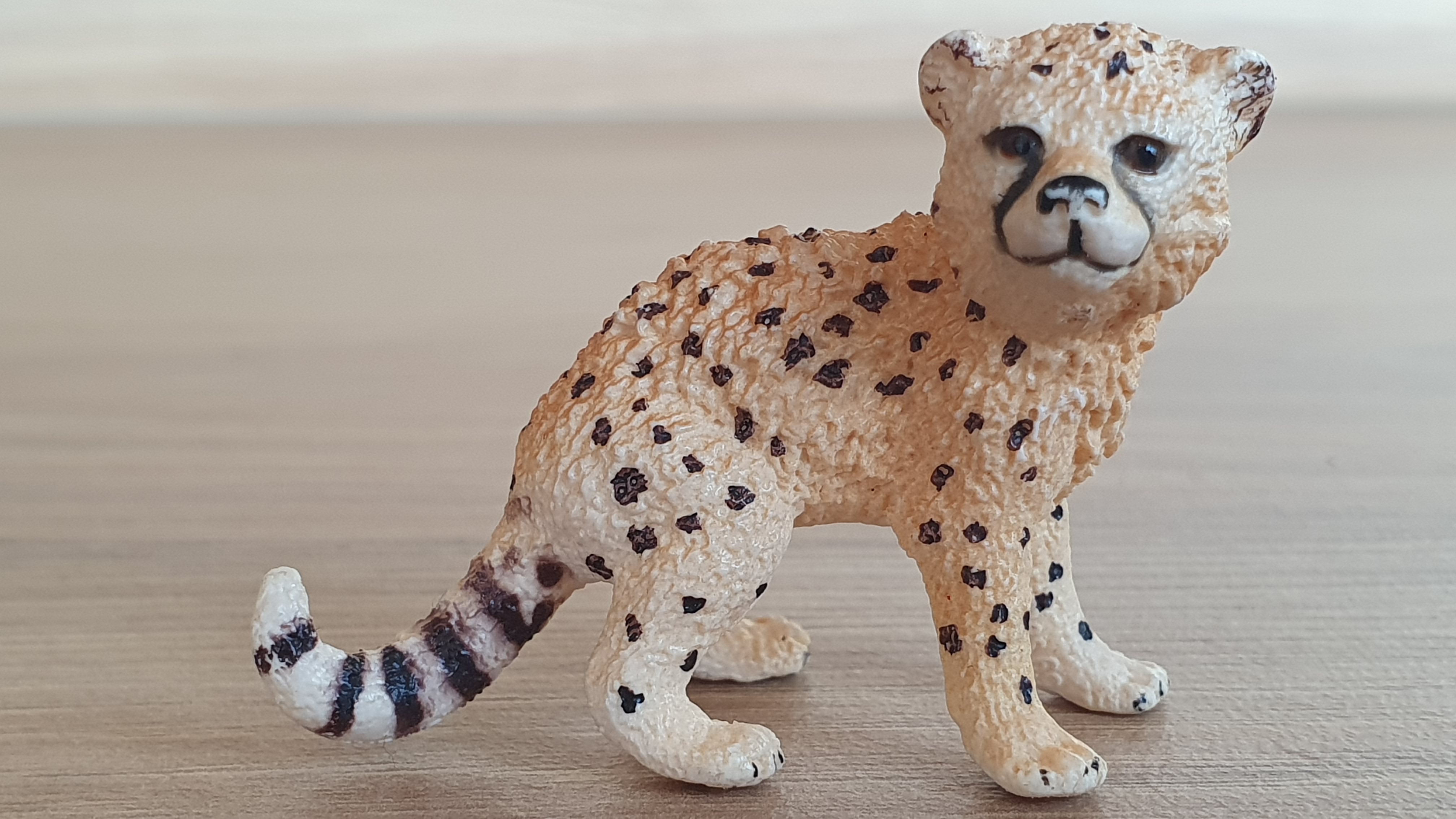 gepard mládě 14747, model 2015