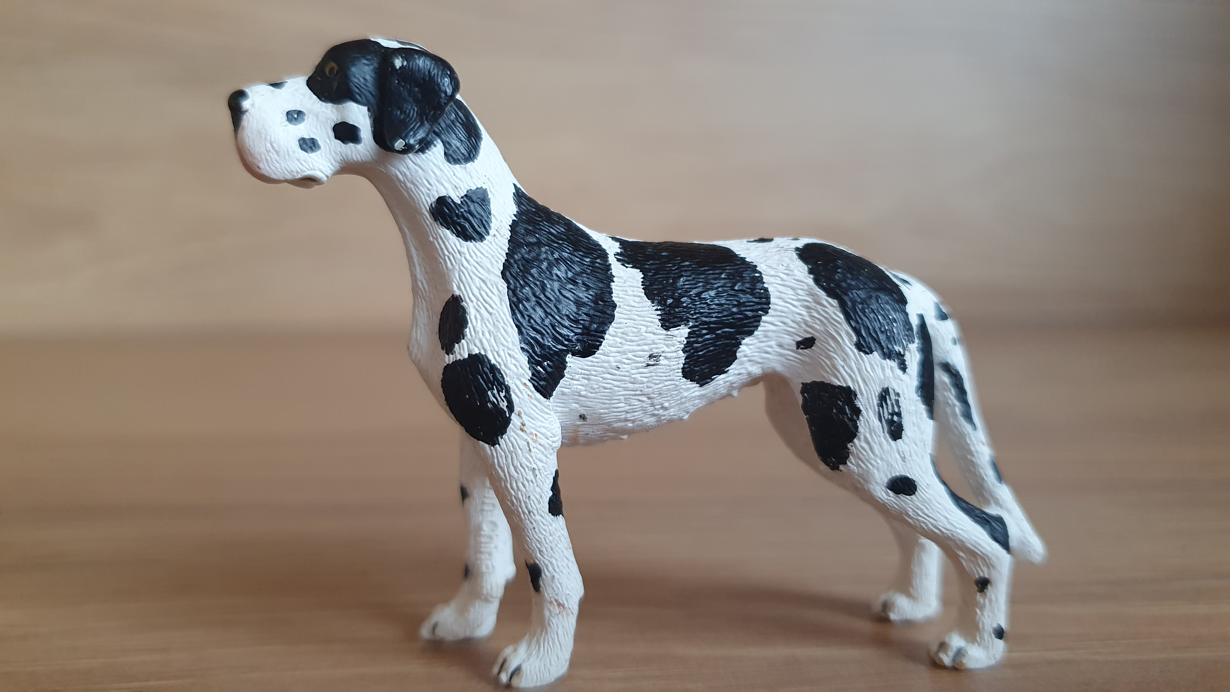 Německá doga 16384, model 2009