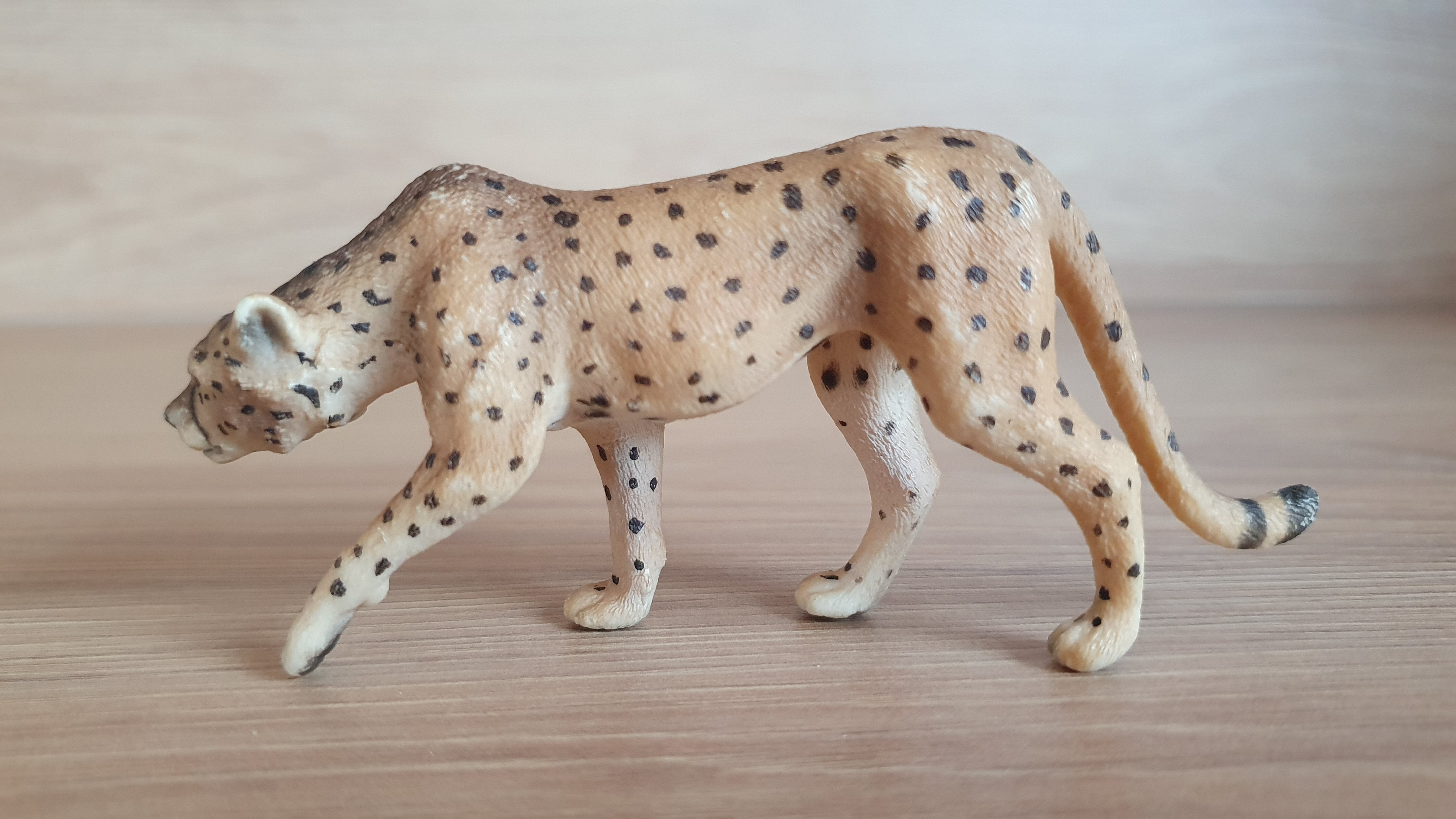 gepard 70442, model 2010