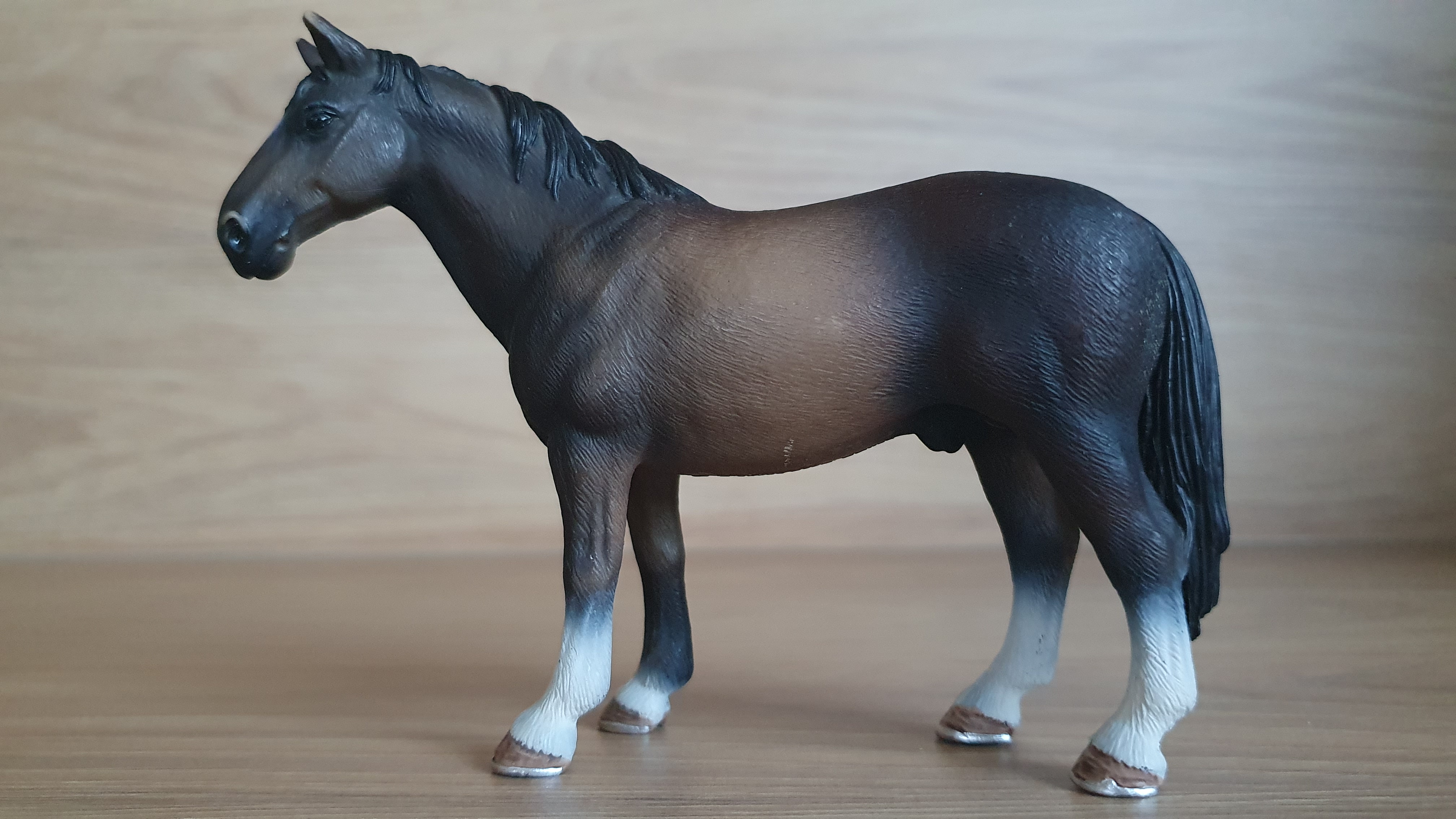 Hanoverskáý hřebec 13649, model 2008