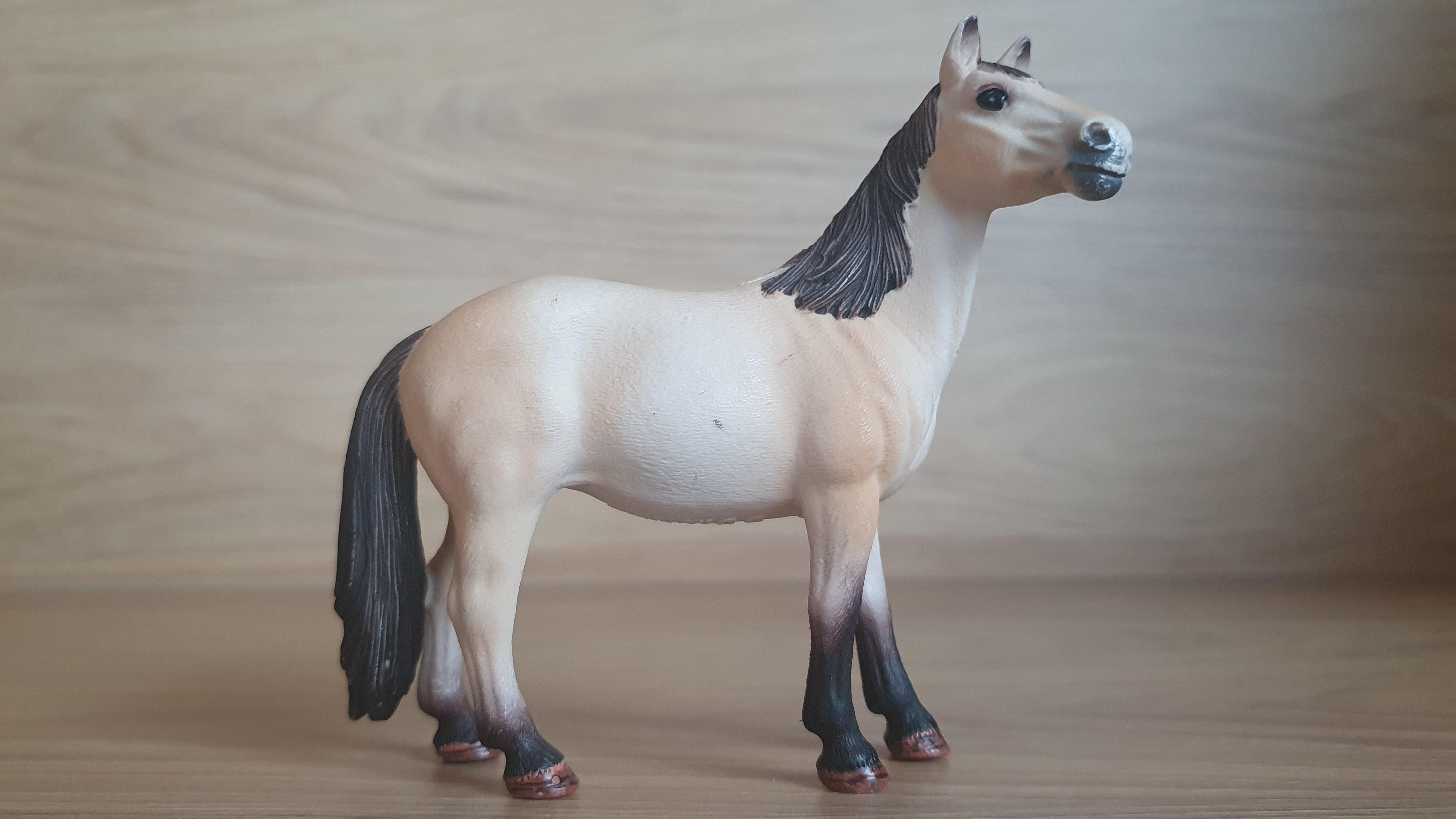 Klisna Mustanga 13806, model 2015