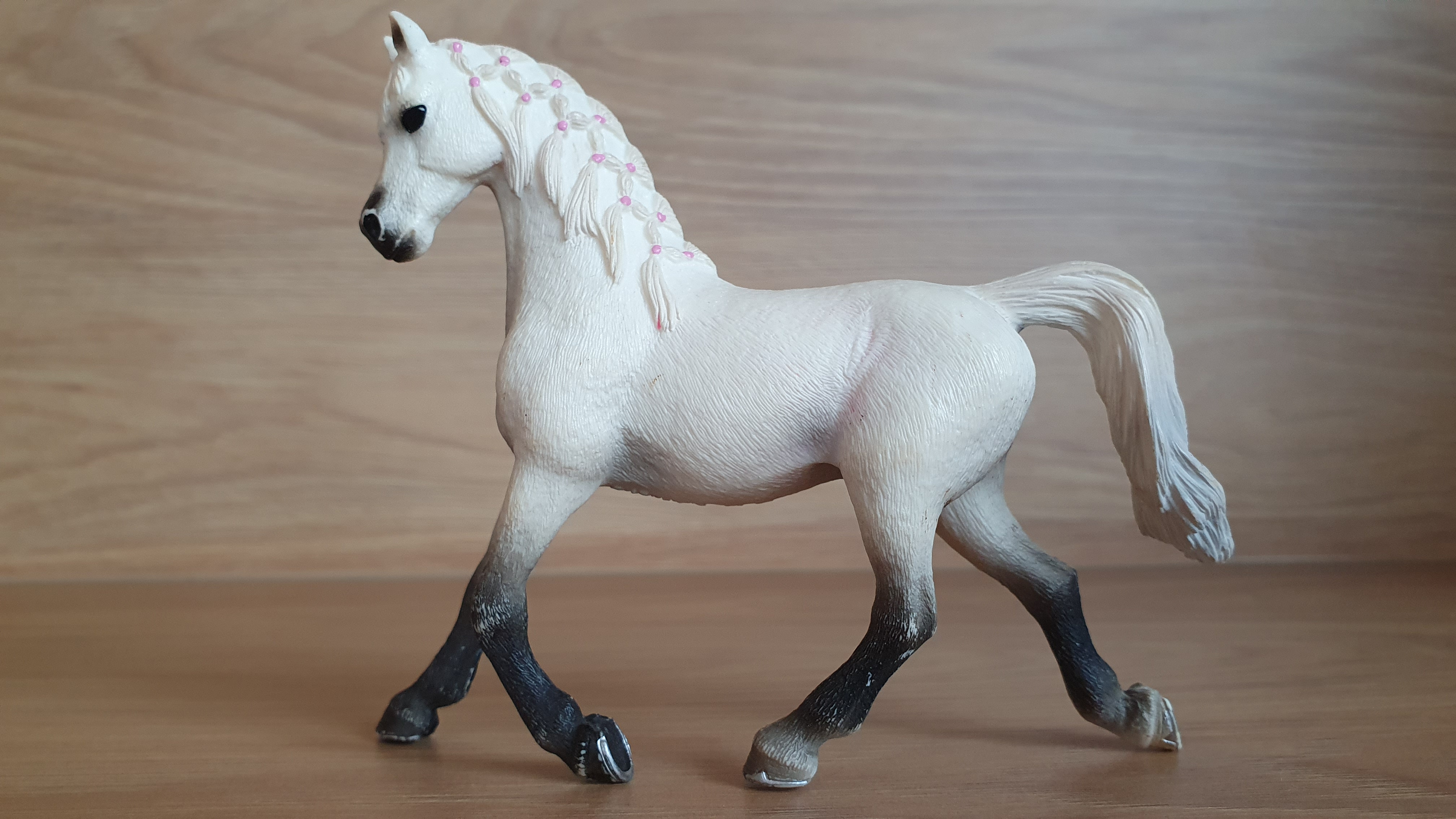 Bílá arabská klisna 13761, model 2013