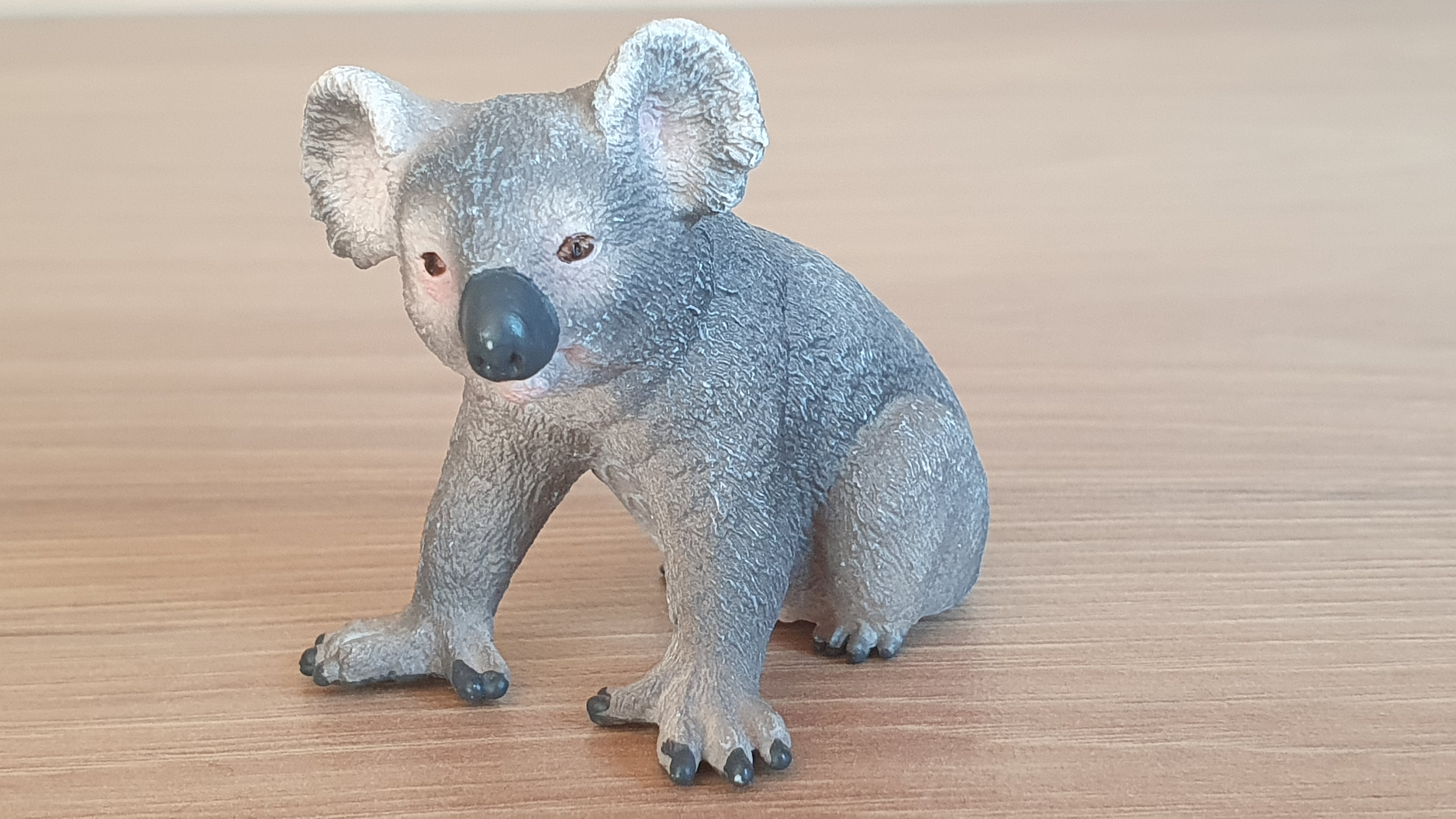 koala 14815, model 2017