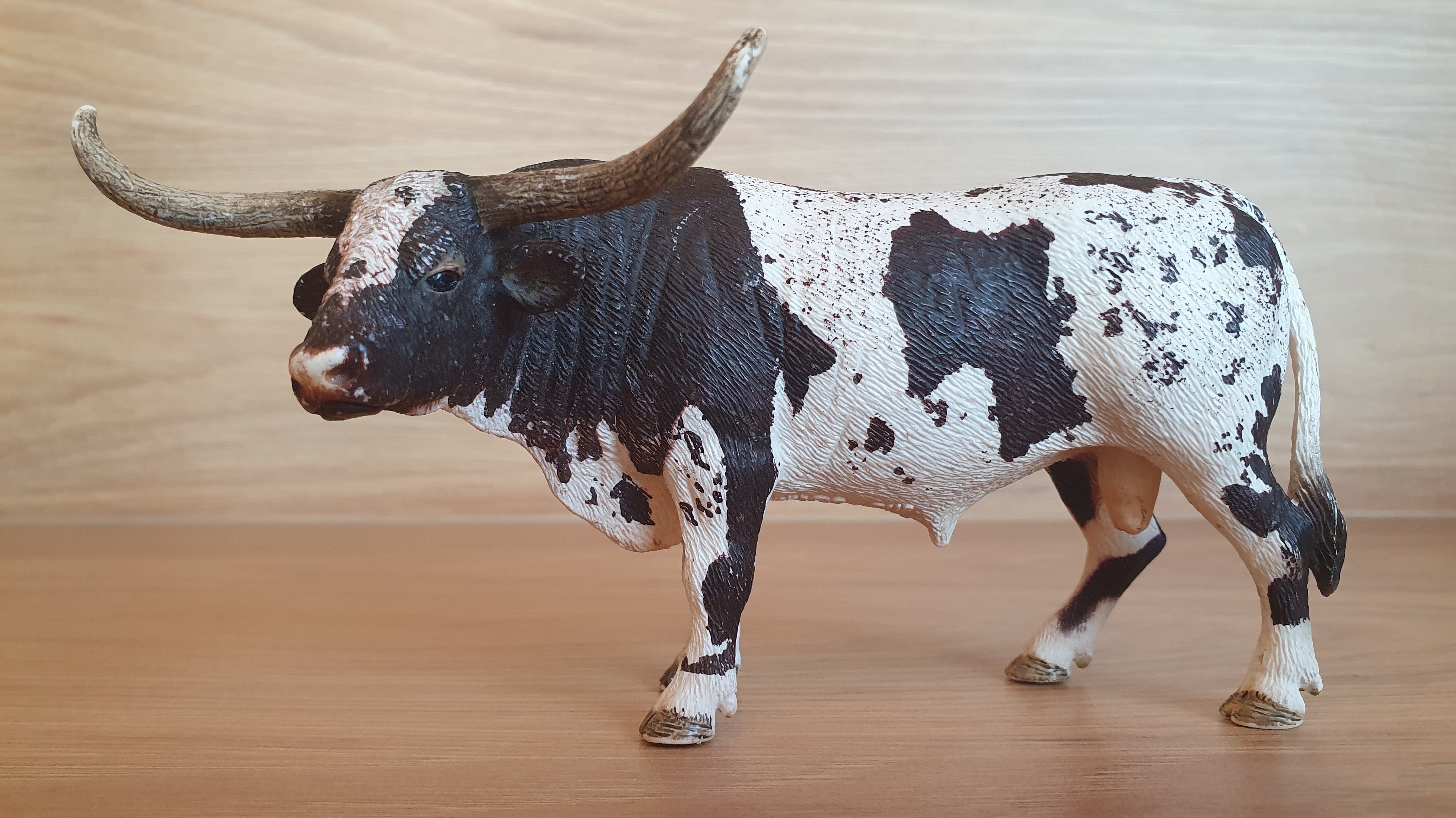Býk longhornský Texaský 13721, model 2012