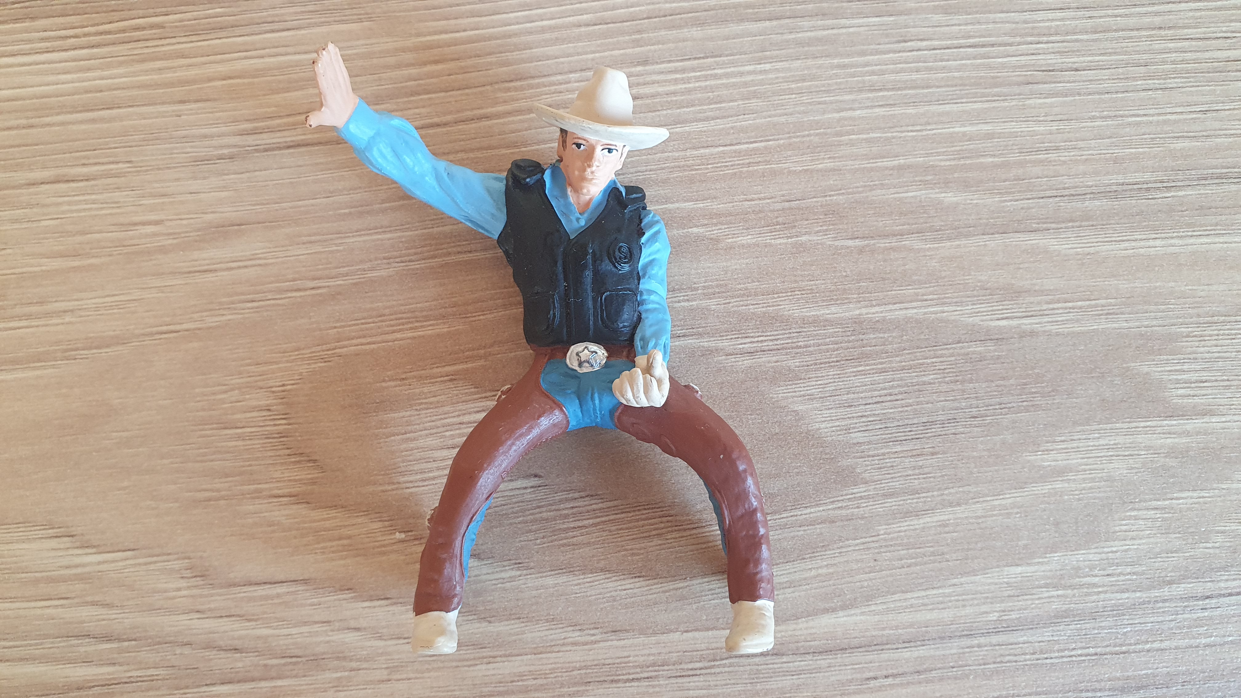 Cowboy, rodeo jezdec 2015