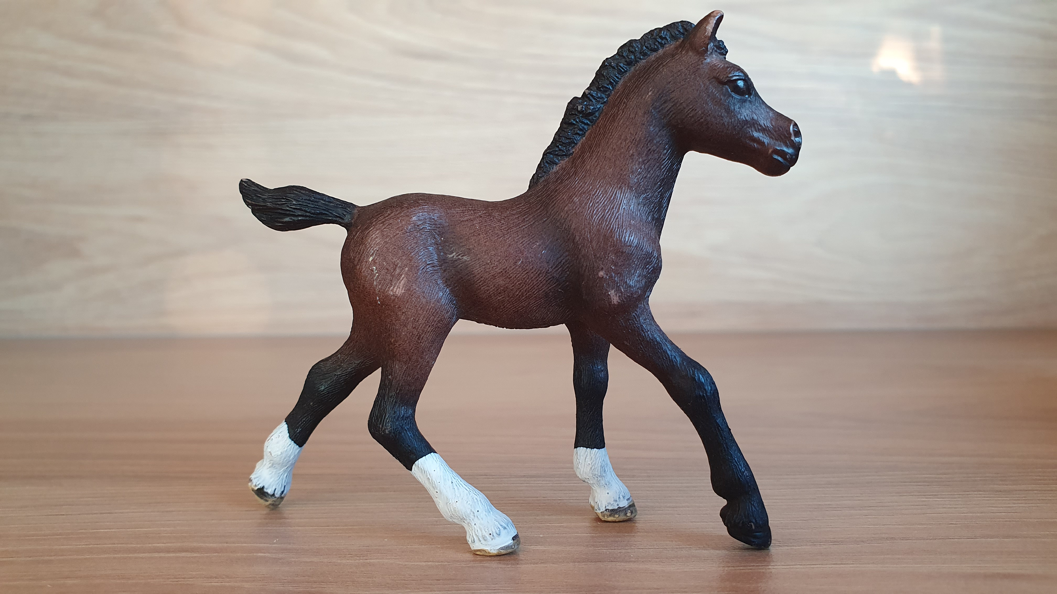Arabské hříbě 13762, model 2013