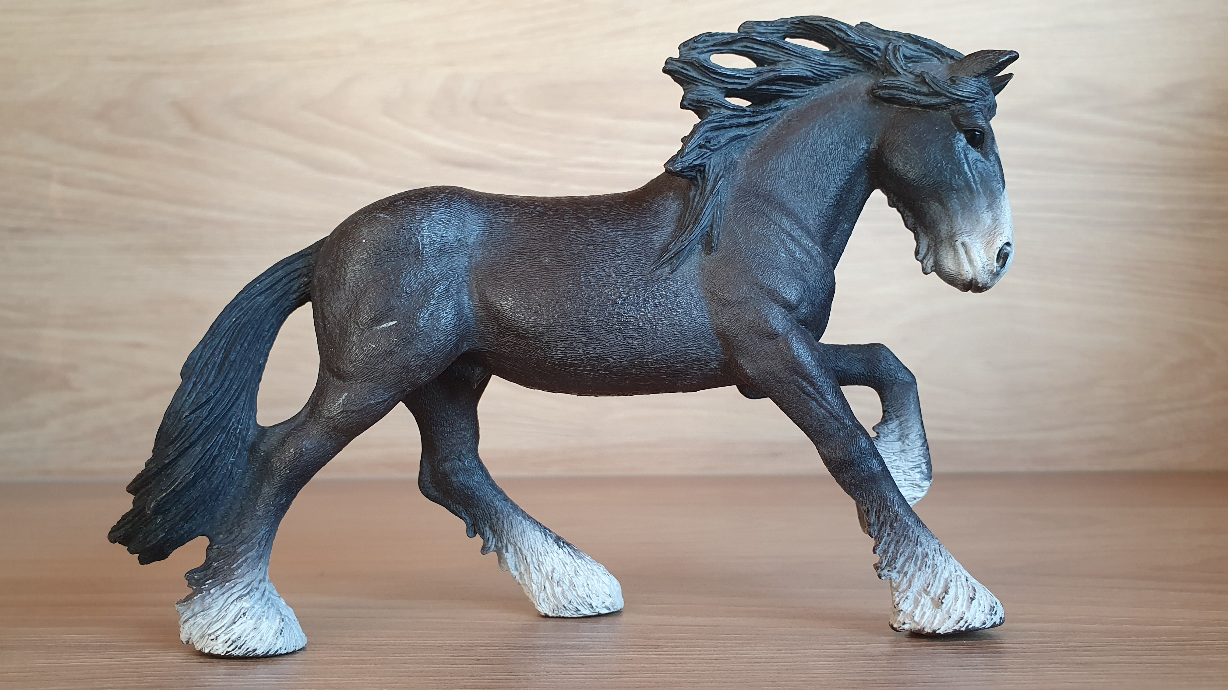 Hřebec shirský 13734, model 2012