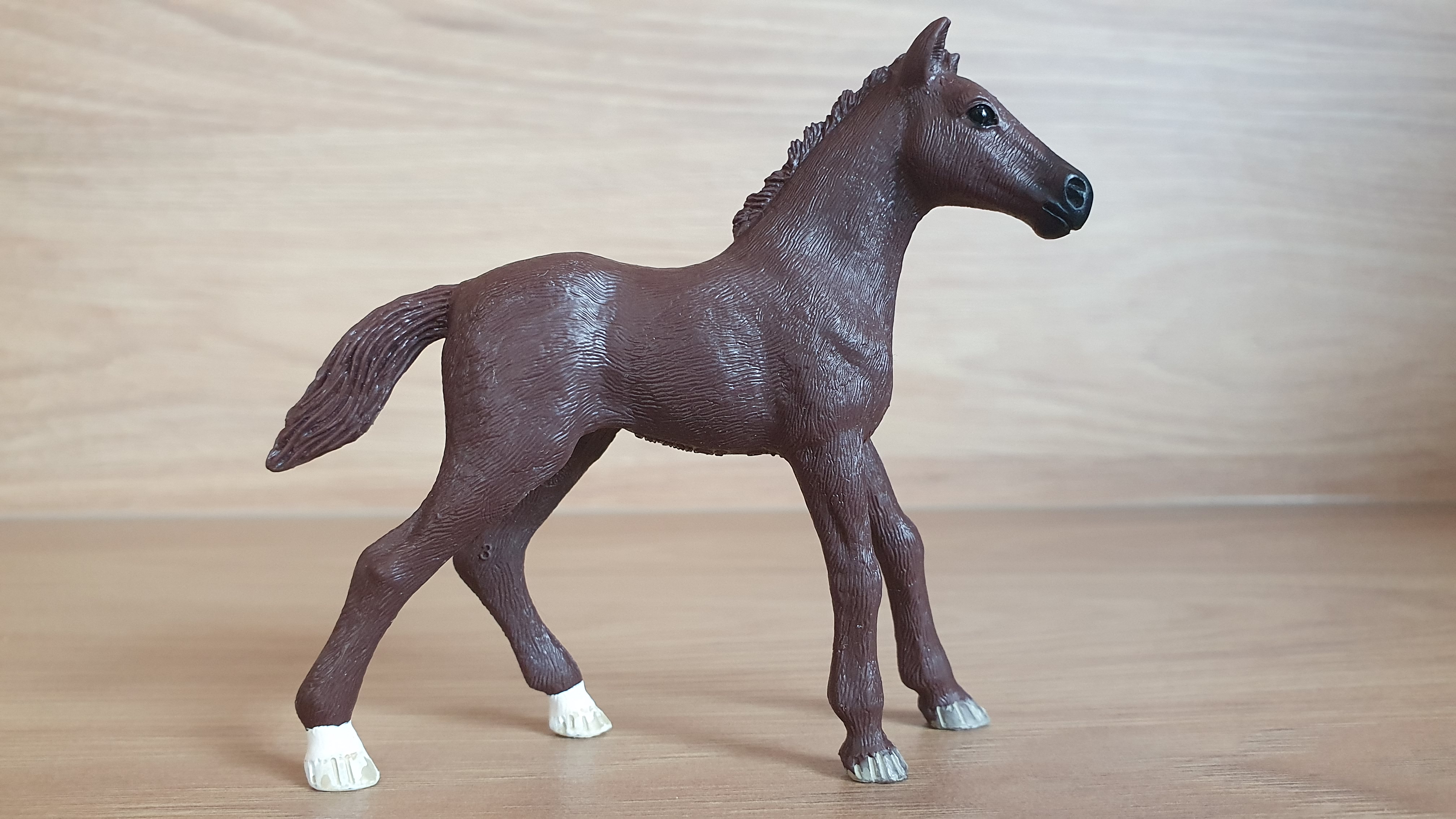 trakehnerské hříbě 83072, model 2017