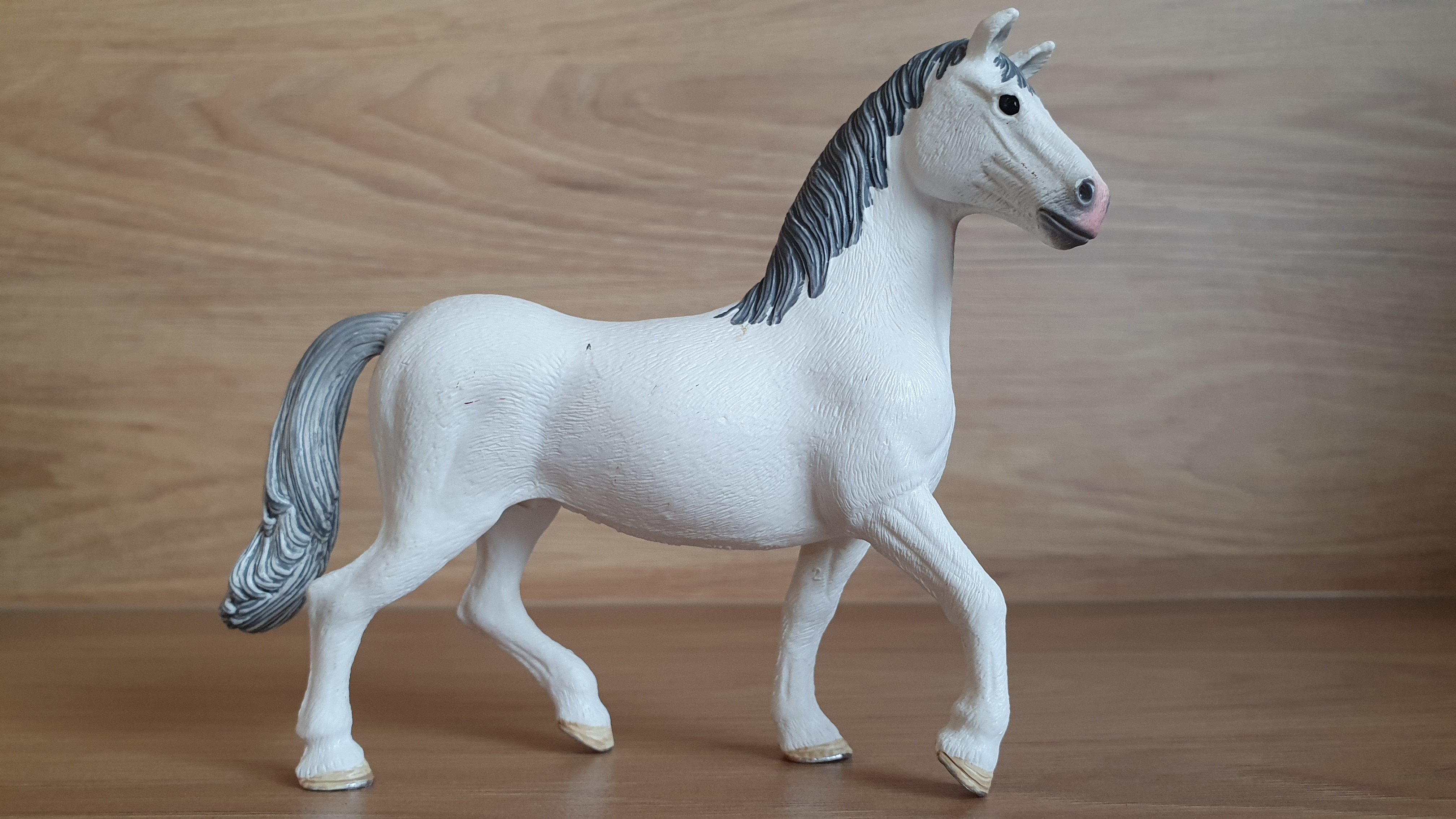 Lipicán hřebec 13887, model 2018