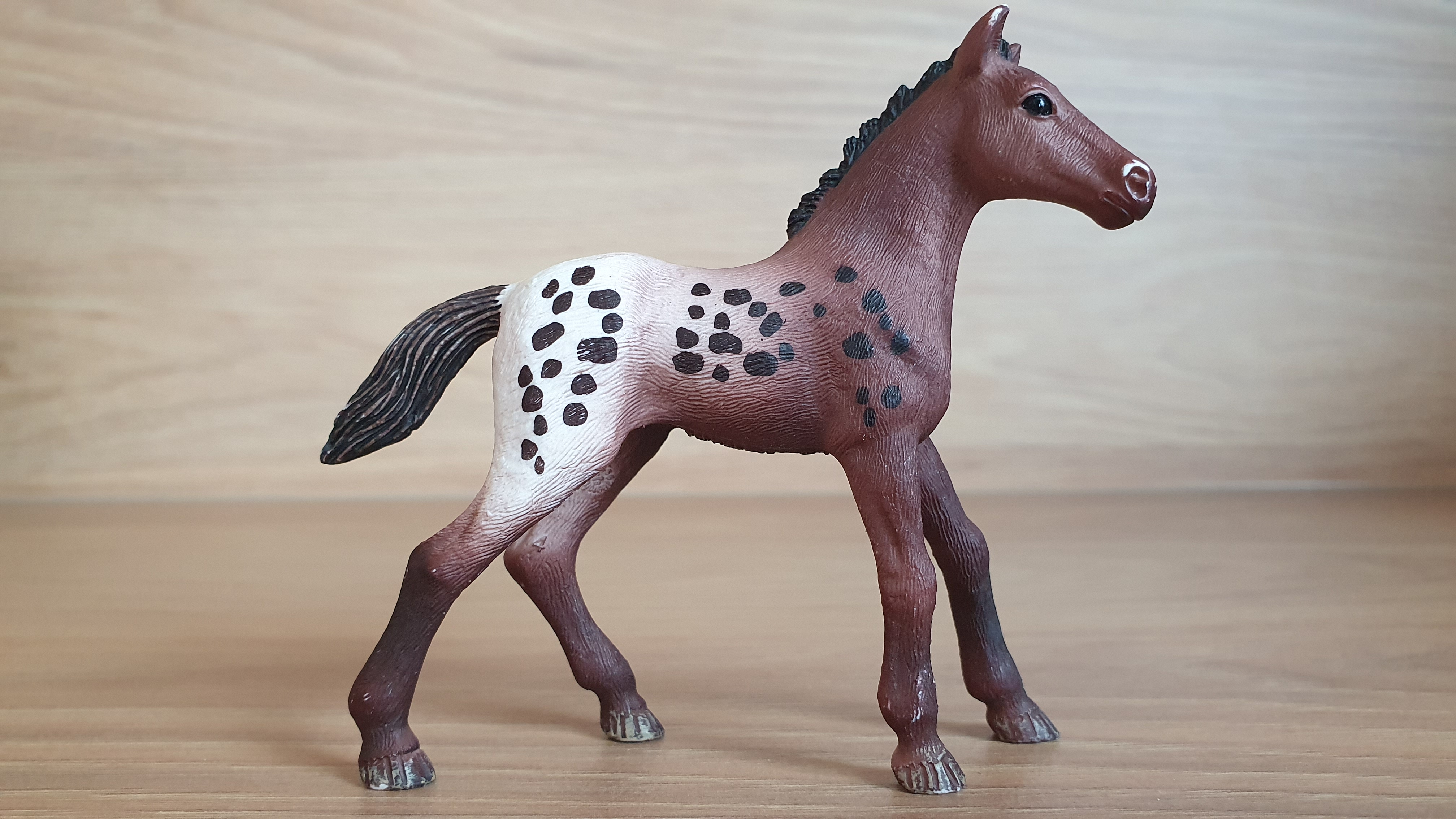 Appaloosa hříbě 13862, model 2017