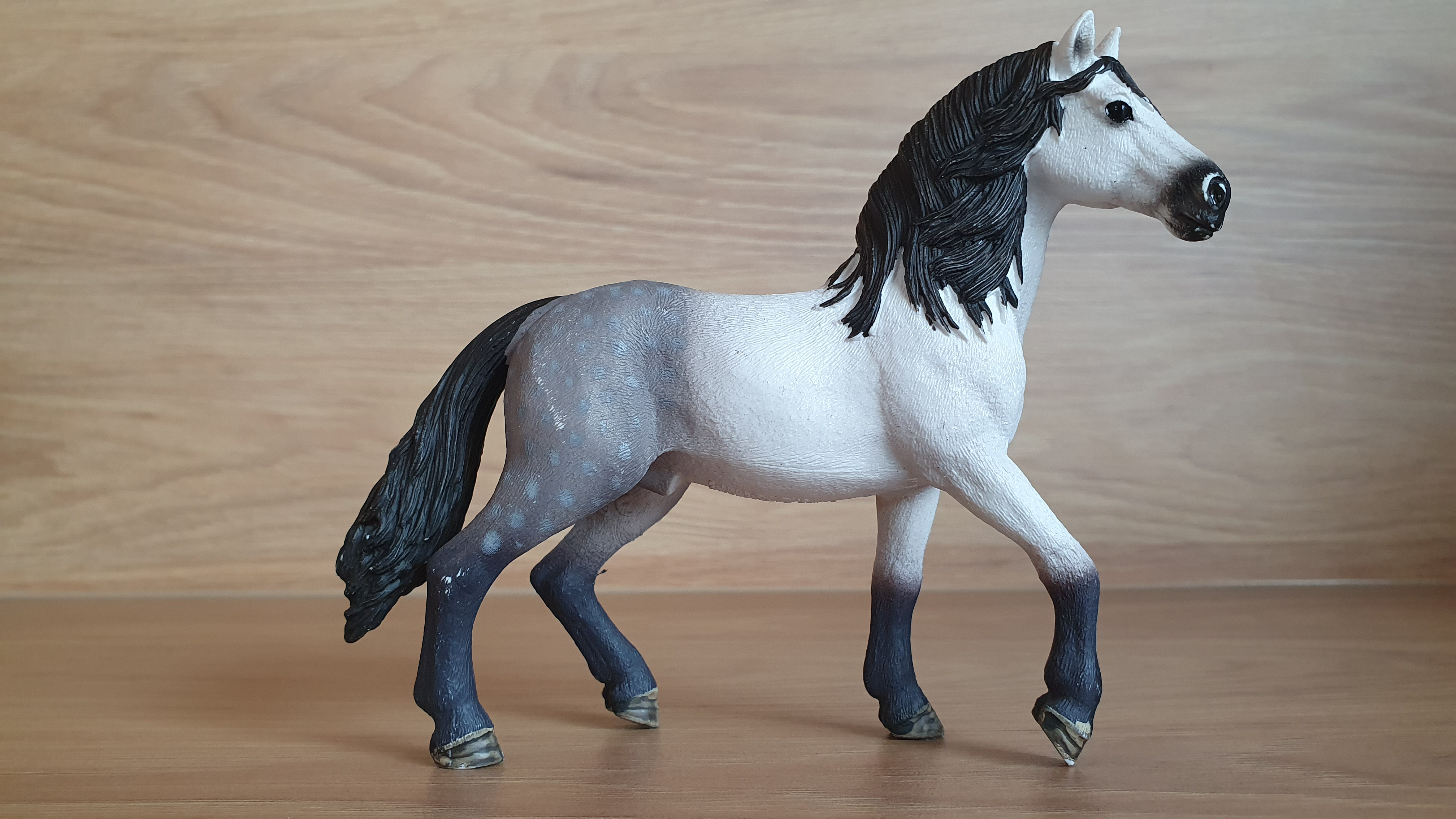 Andaluský hřebec 13821, model 2016