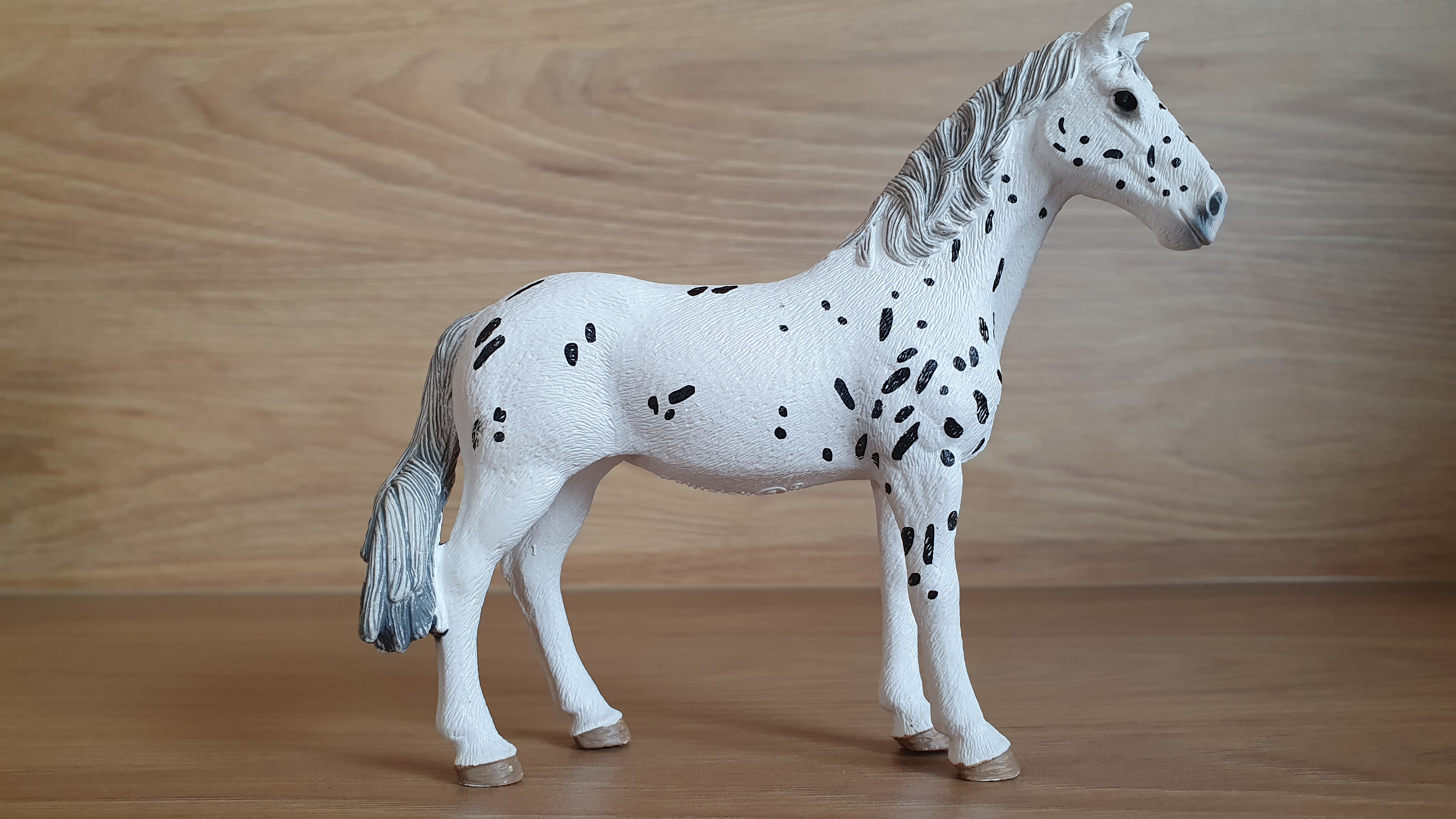 Knebstrupperská klisna 13910, model 2019