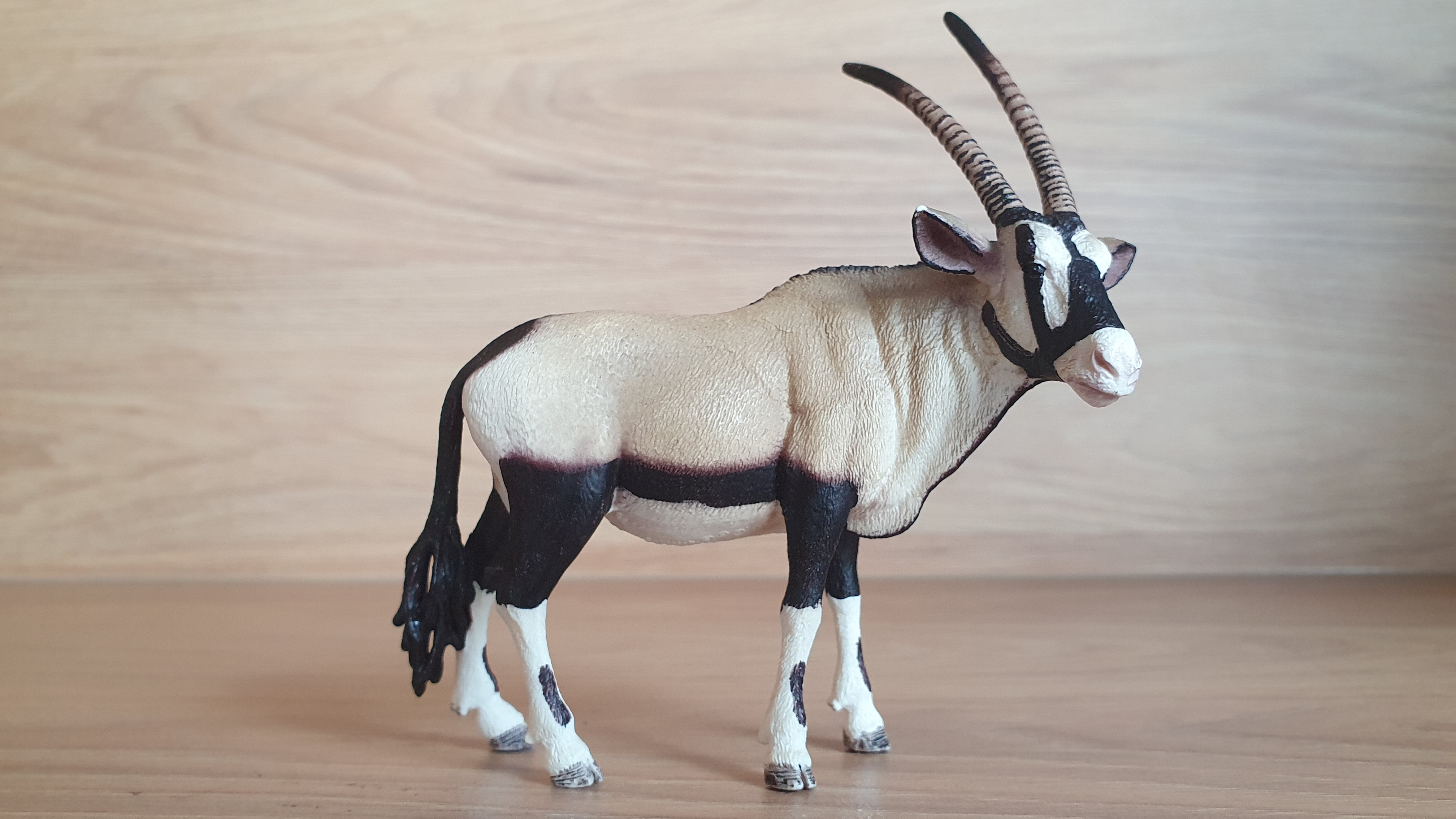antilopa 14759, model 2015
