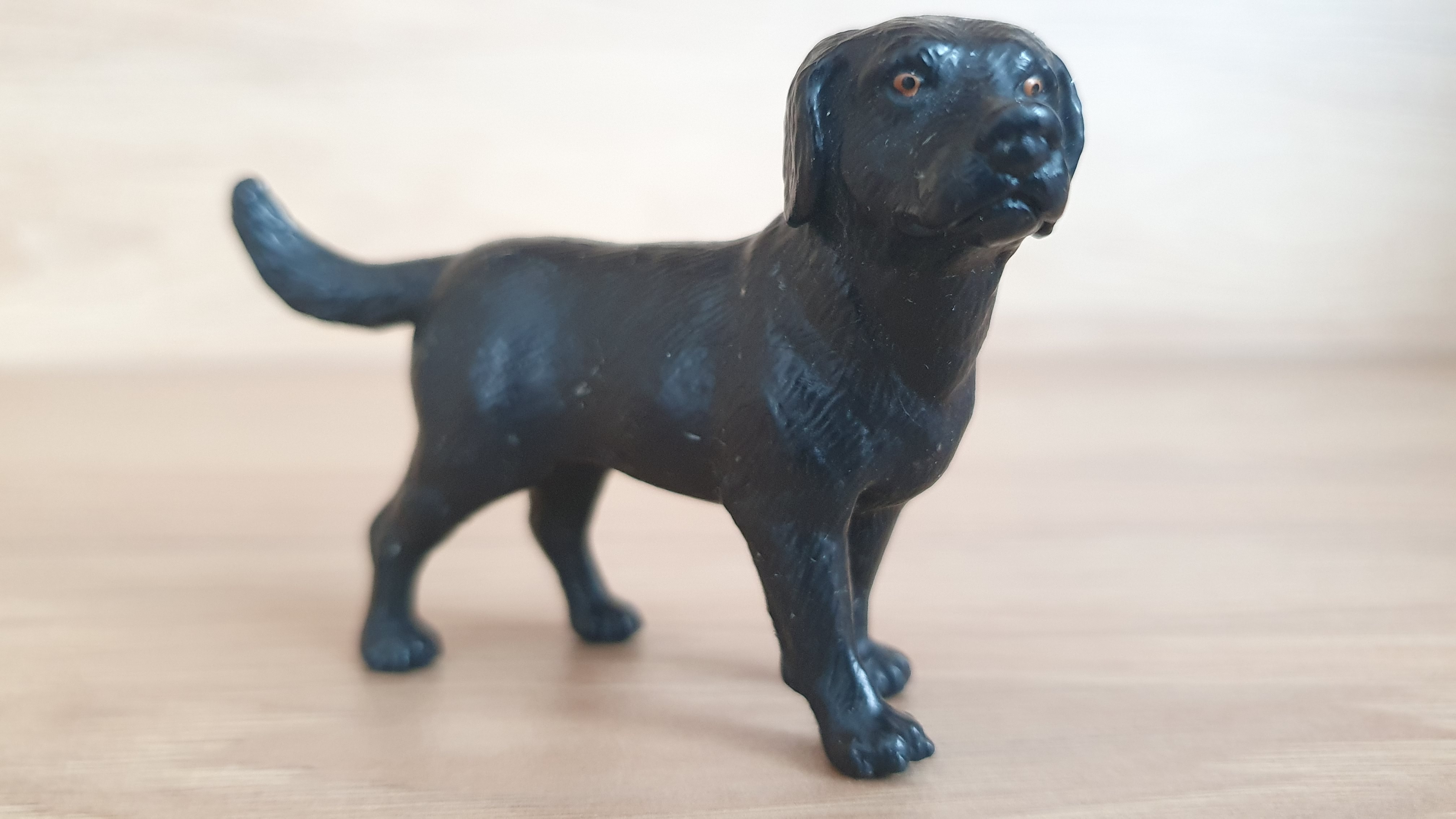 labrador černý 16327, model 2001