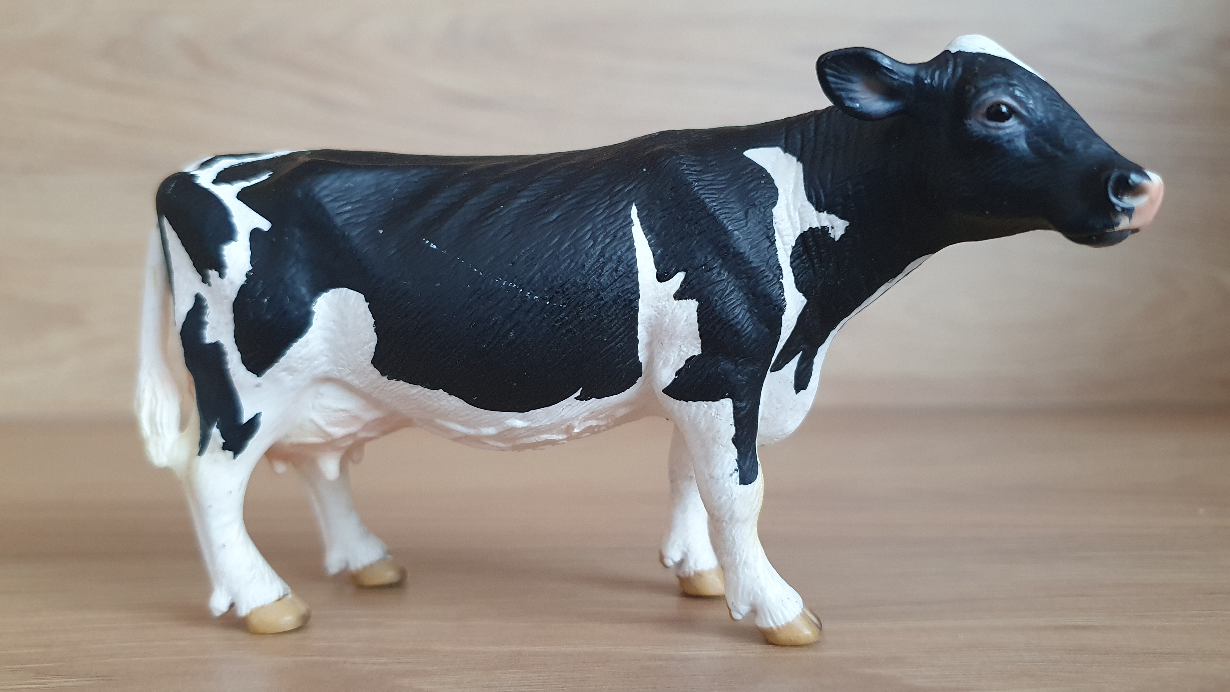 kráva holštýnská 13633, model 2007