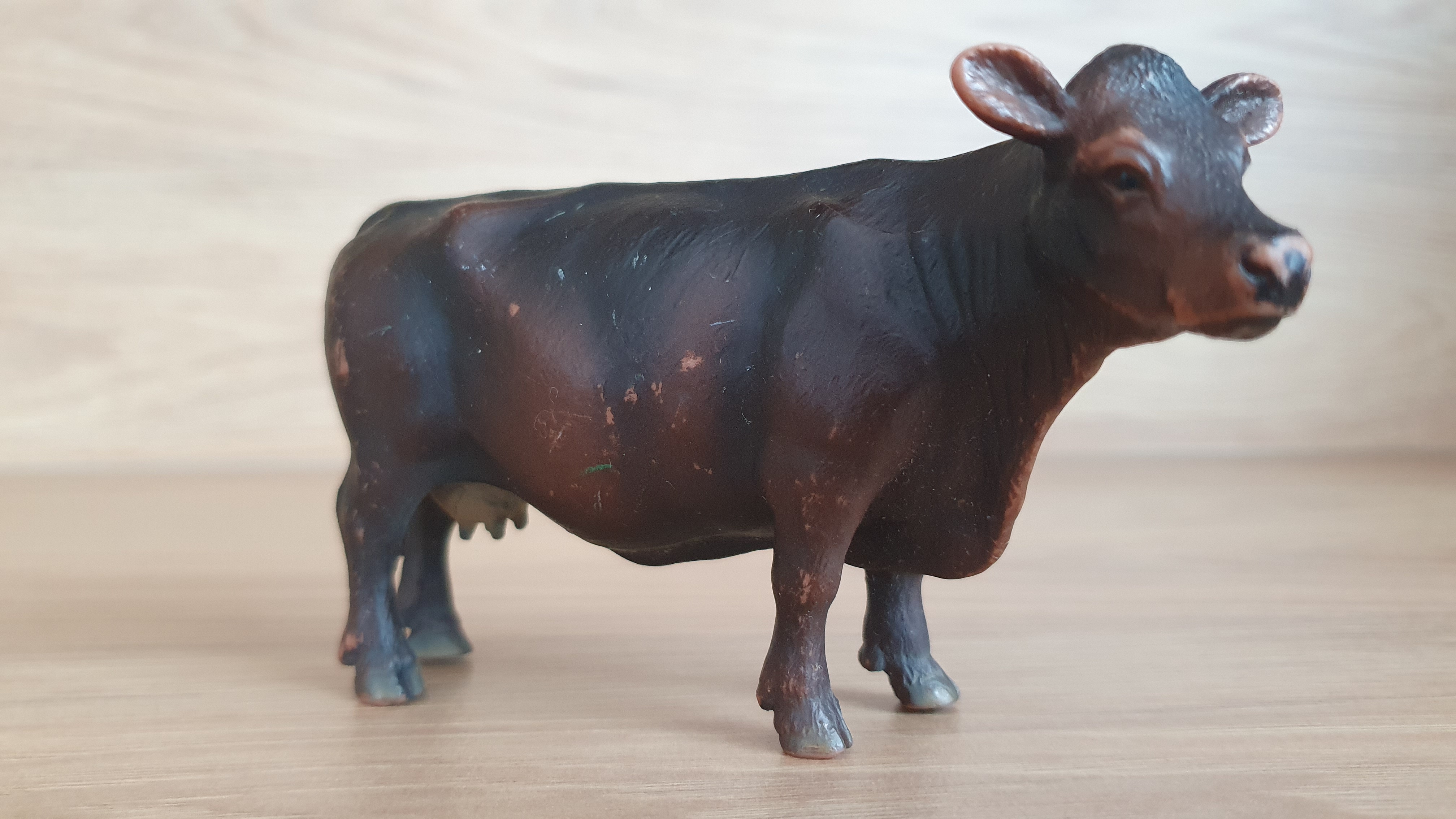 Anguská kráva 13269, model 2002