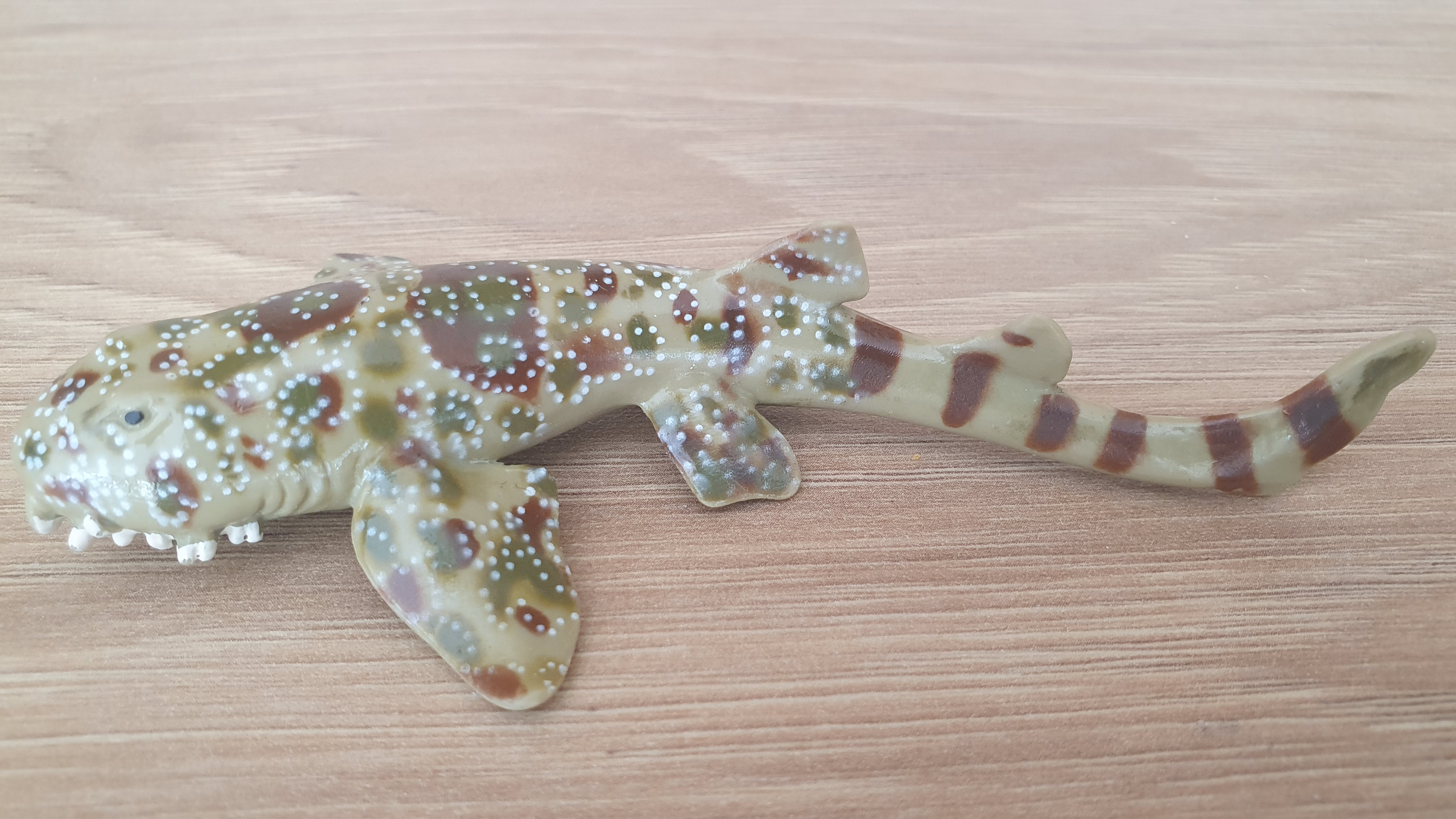 Wobbegong , ryba ze setu 42328