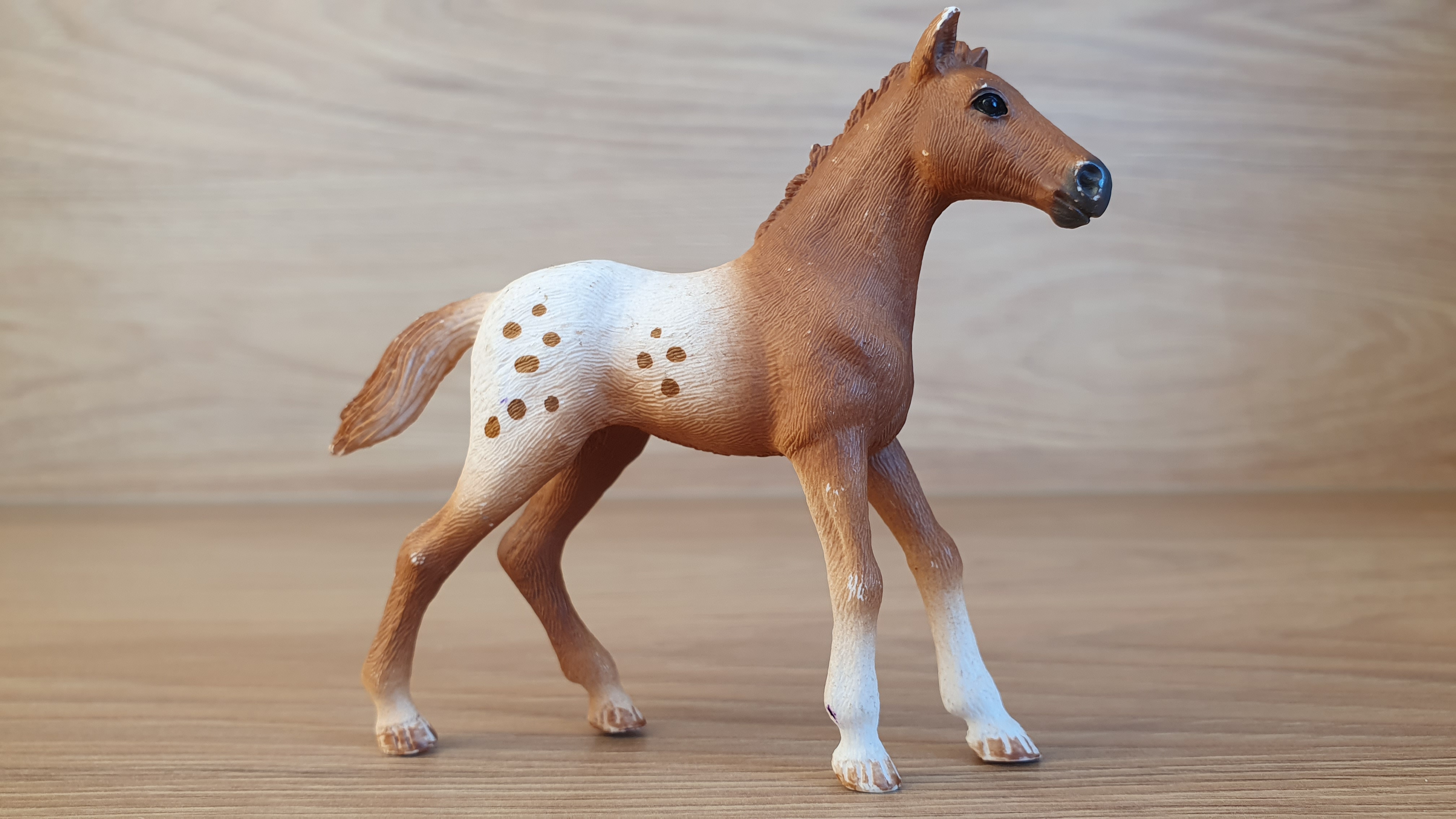 Appaloosa hříbě 42433, model 2017
