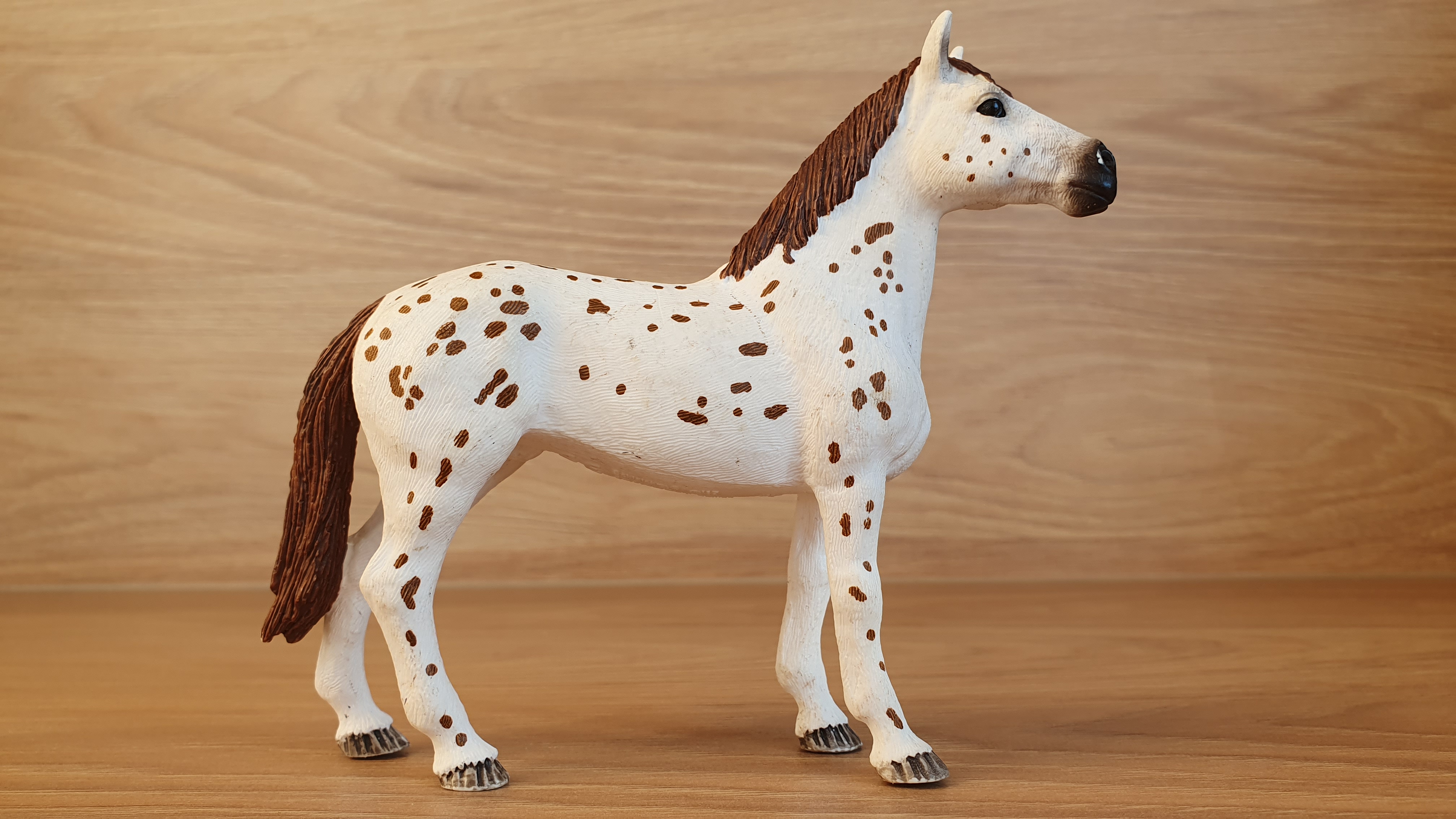 Appaloosa hřebec 42433, model 2017