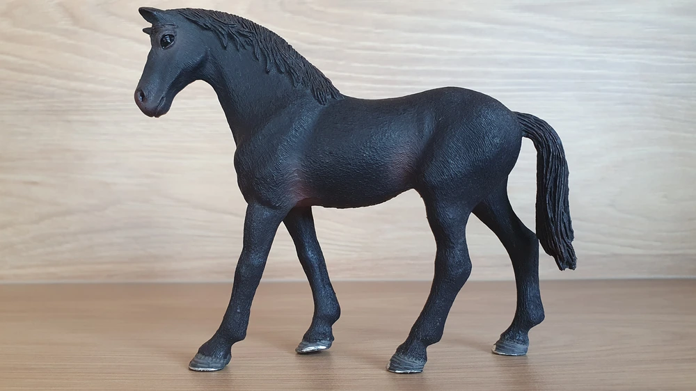 Anglický plnokrevník klisna 13856, model 2017