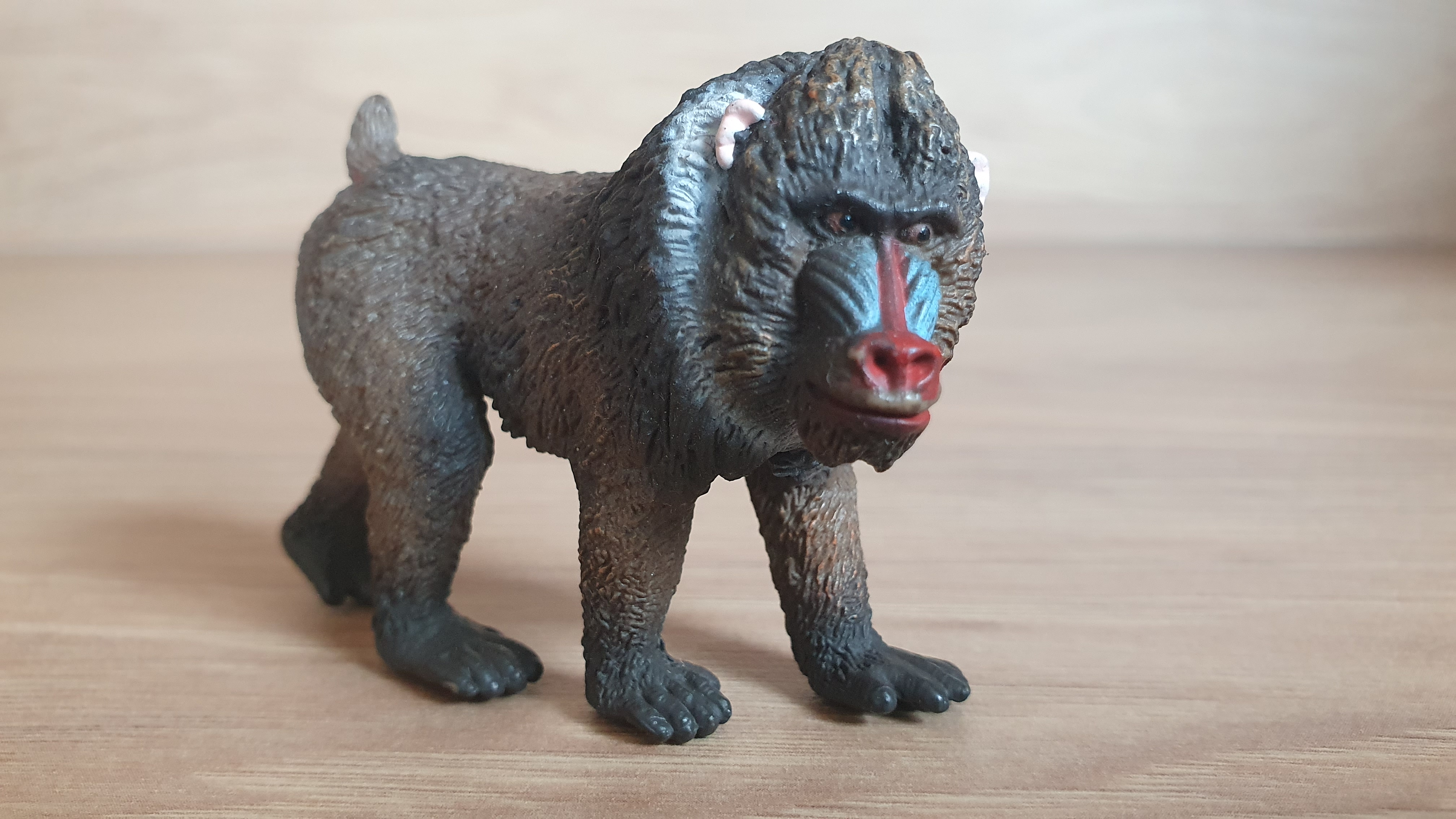 Mandrill 14715, model 2013