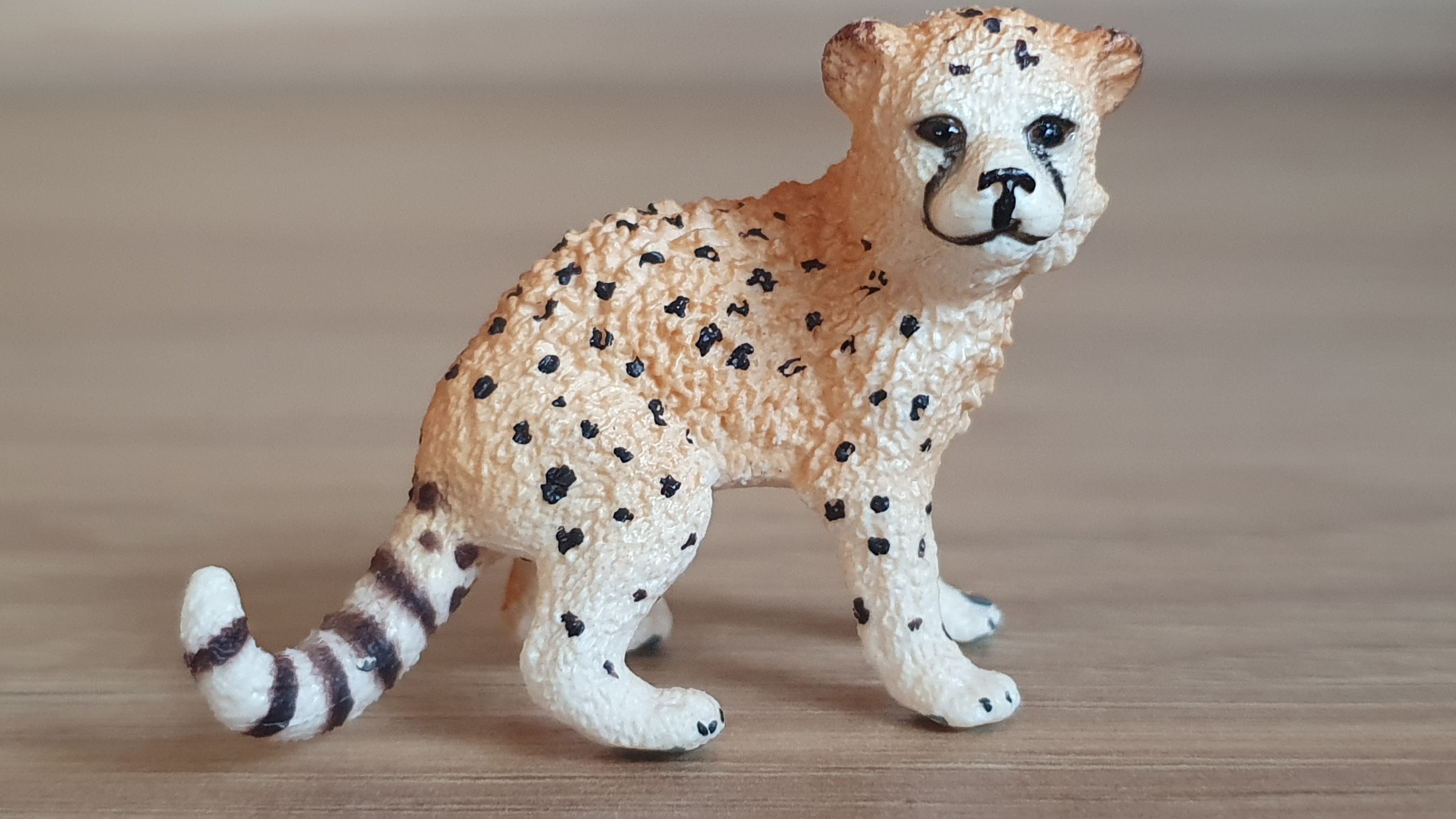 gepard mládě 14747, model 2015