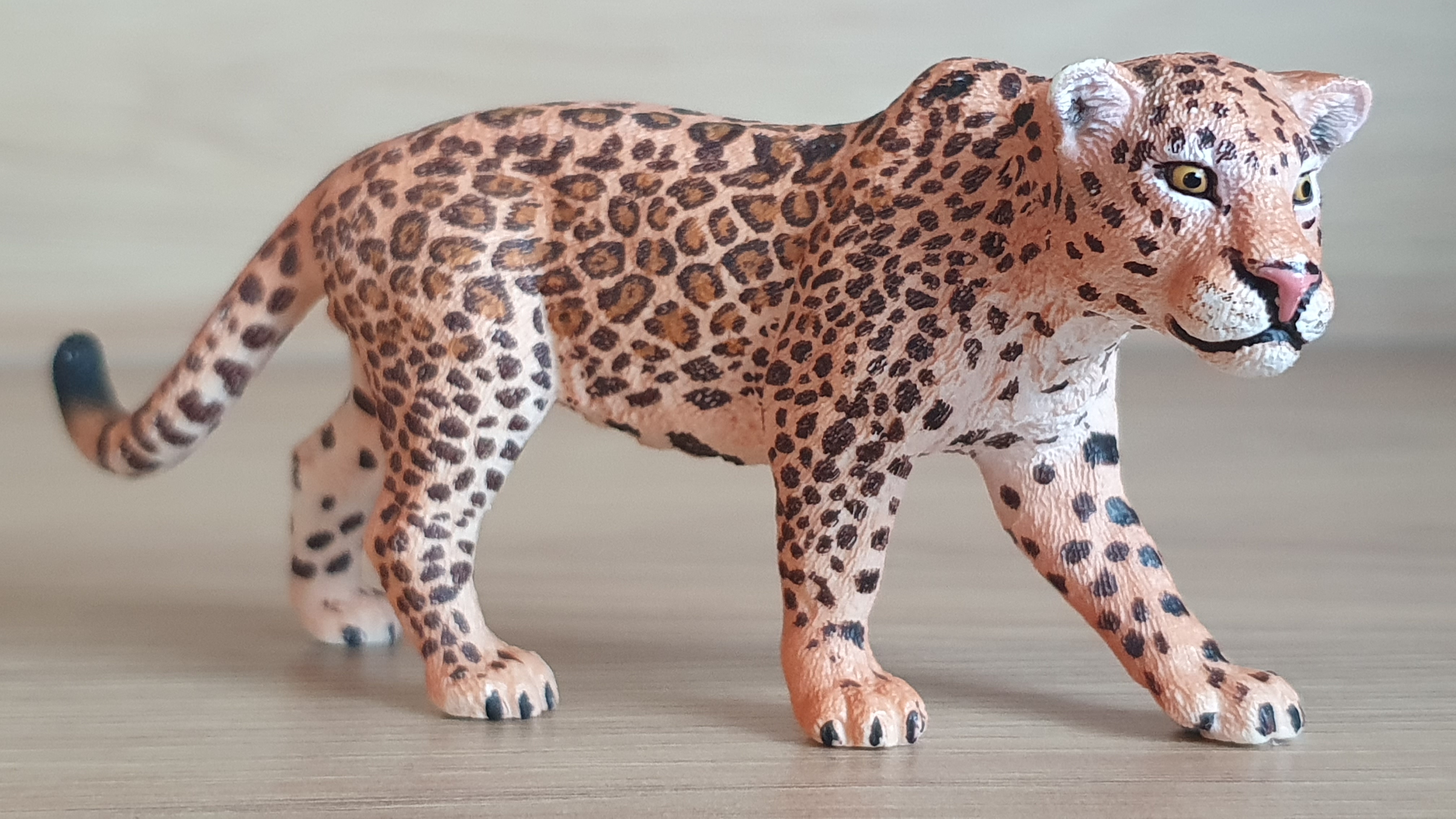 jaguár 14769, model 2016
