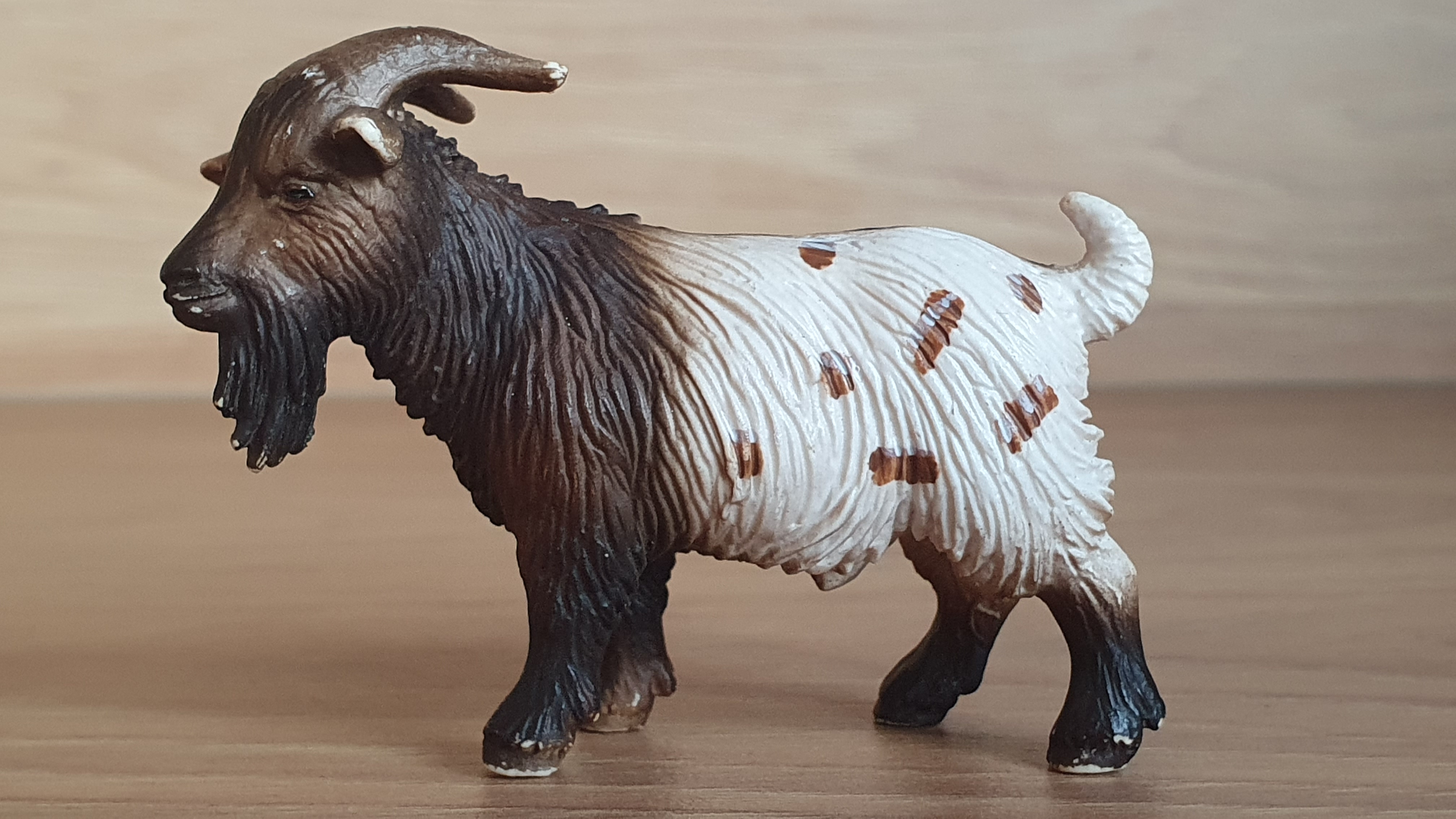 kozel menší 13602, model 2004