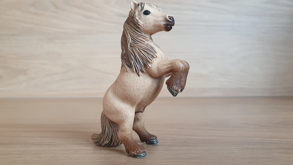 Shetlandský poník na zadních 13775, model 2014