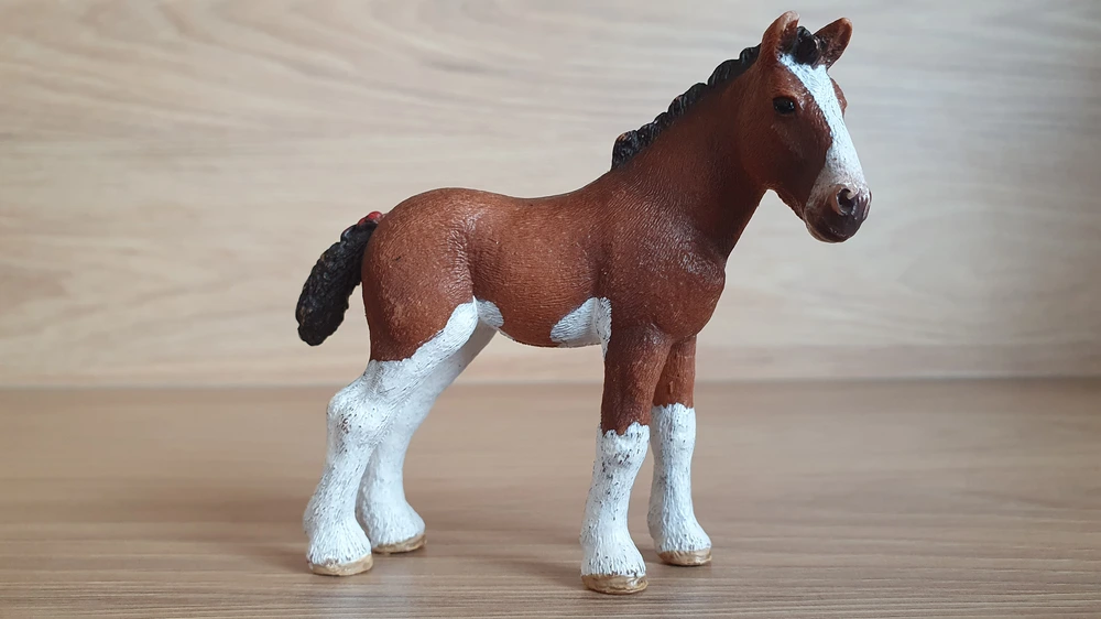 Clydesdale hříbě 13810, model 2015