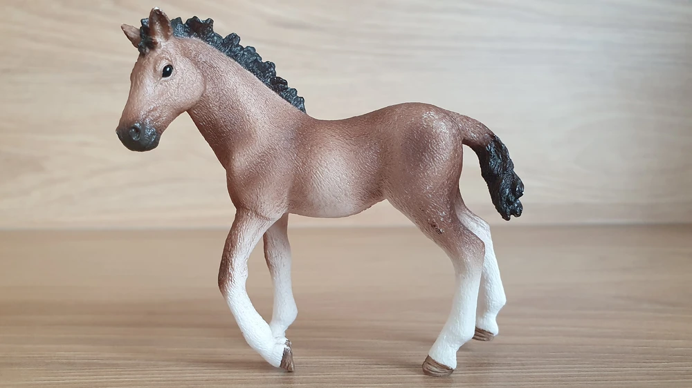 Andaluské hříbě 13822, model 2016