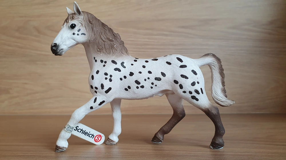 knabstrupperský hřebec 13889, model 2018
