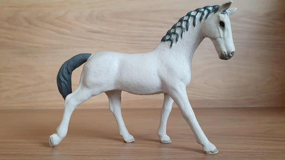 Trakehner klisna 98269, model 2018