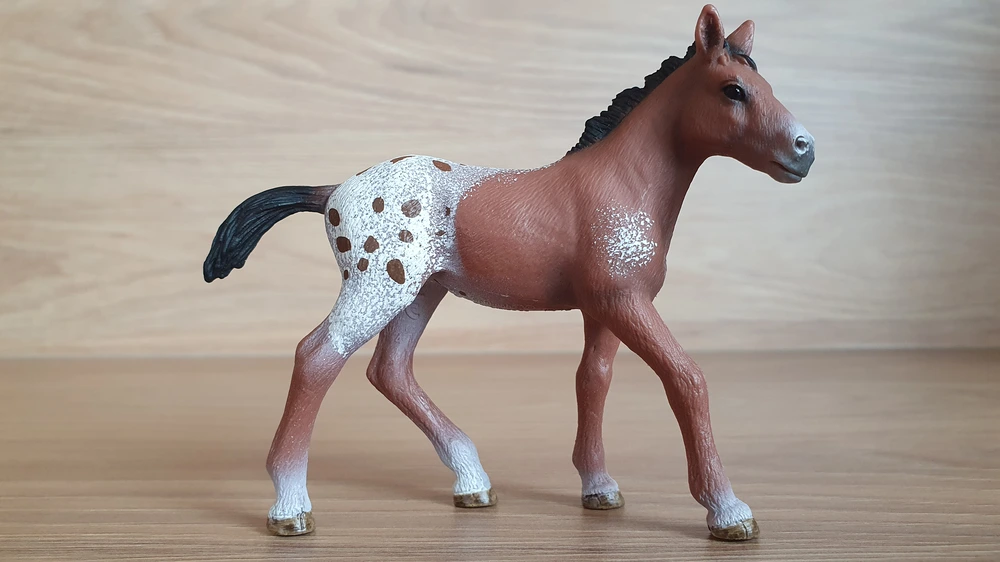 Appaloosa hříbě 13733, model 2012