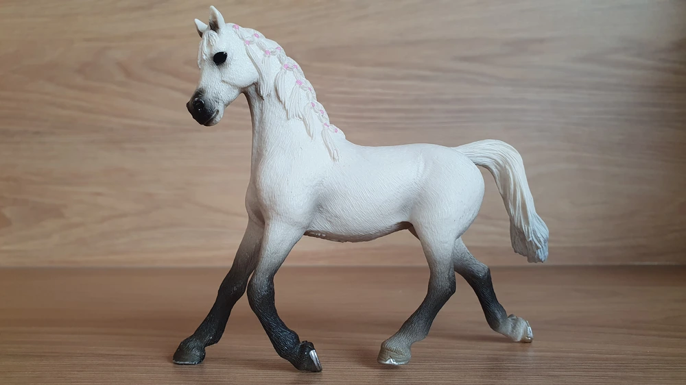 Bílá arabská klisna 13761, model 2013