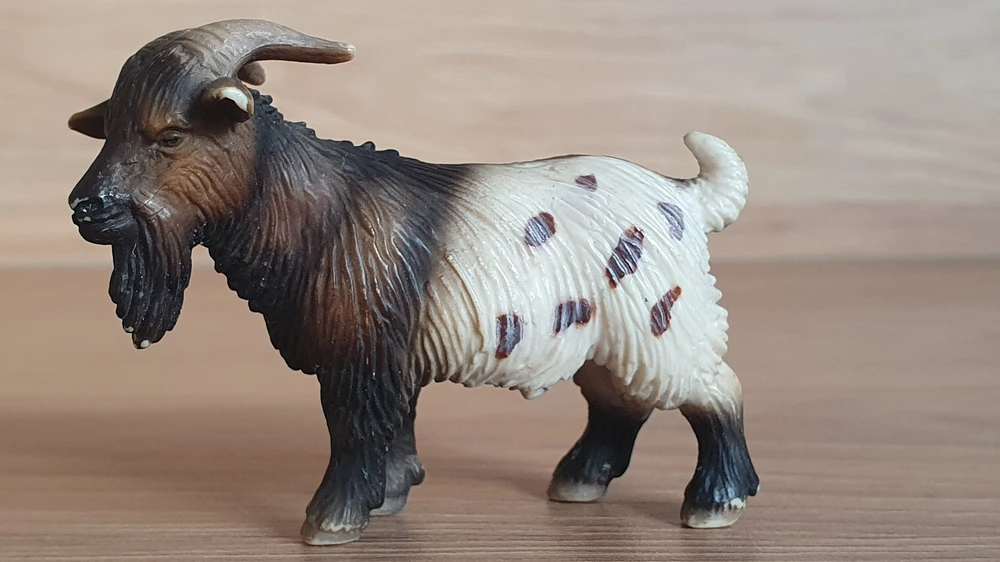kozel menší 13602, model 2004