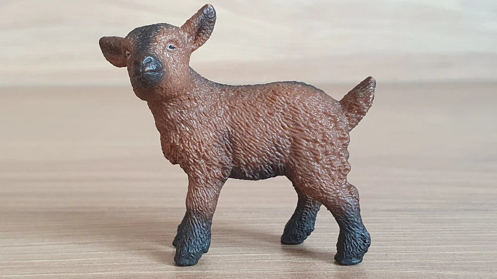 kůzle hnědé 13829, model 2016