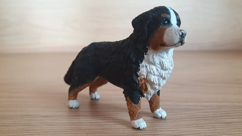 Bernský salašnický pes 16397, model 2013