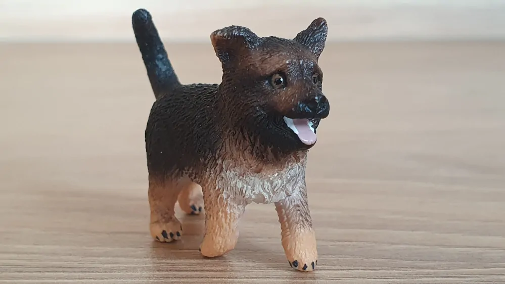 Německý ovčák štěně 16832, model 2014