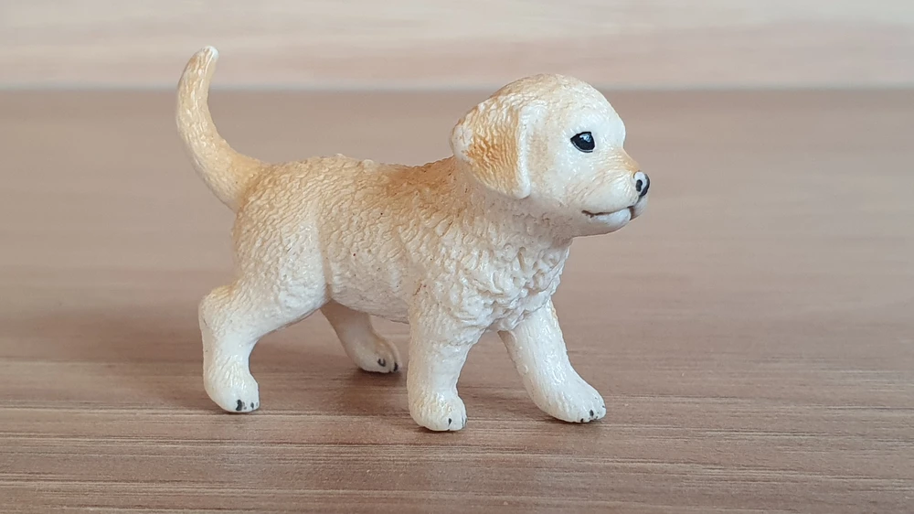 zlatý retrívr štěně 16396, model 2013