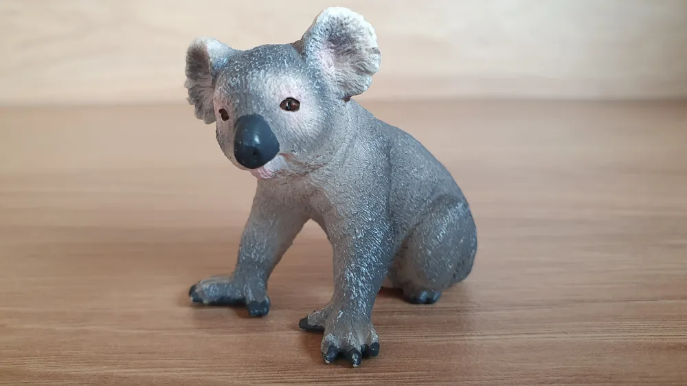 koala 14815, model 2017