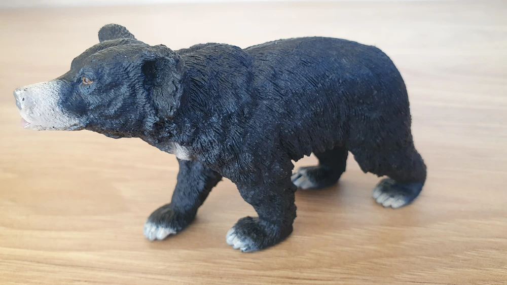 medvěd pyskatý 14779, model 2016